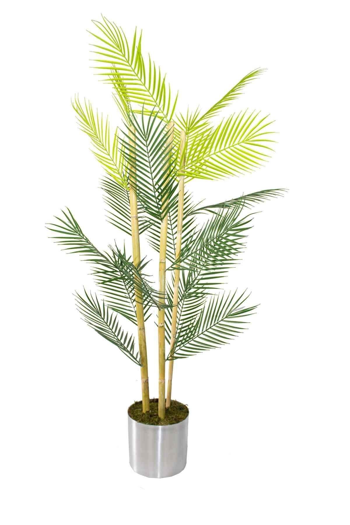 Yapay Areka Ağacı Bambu Gövdeli 160 cm