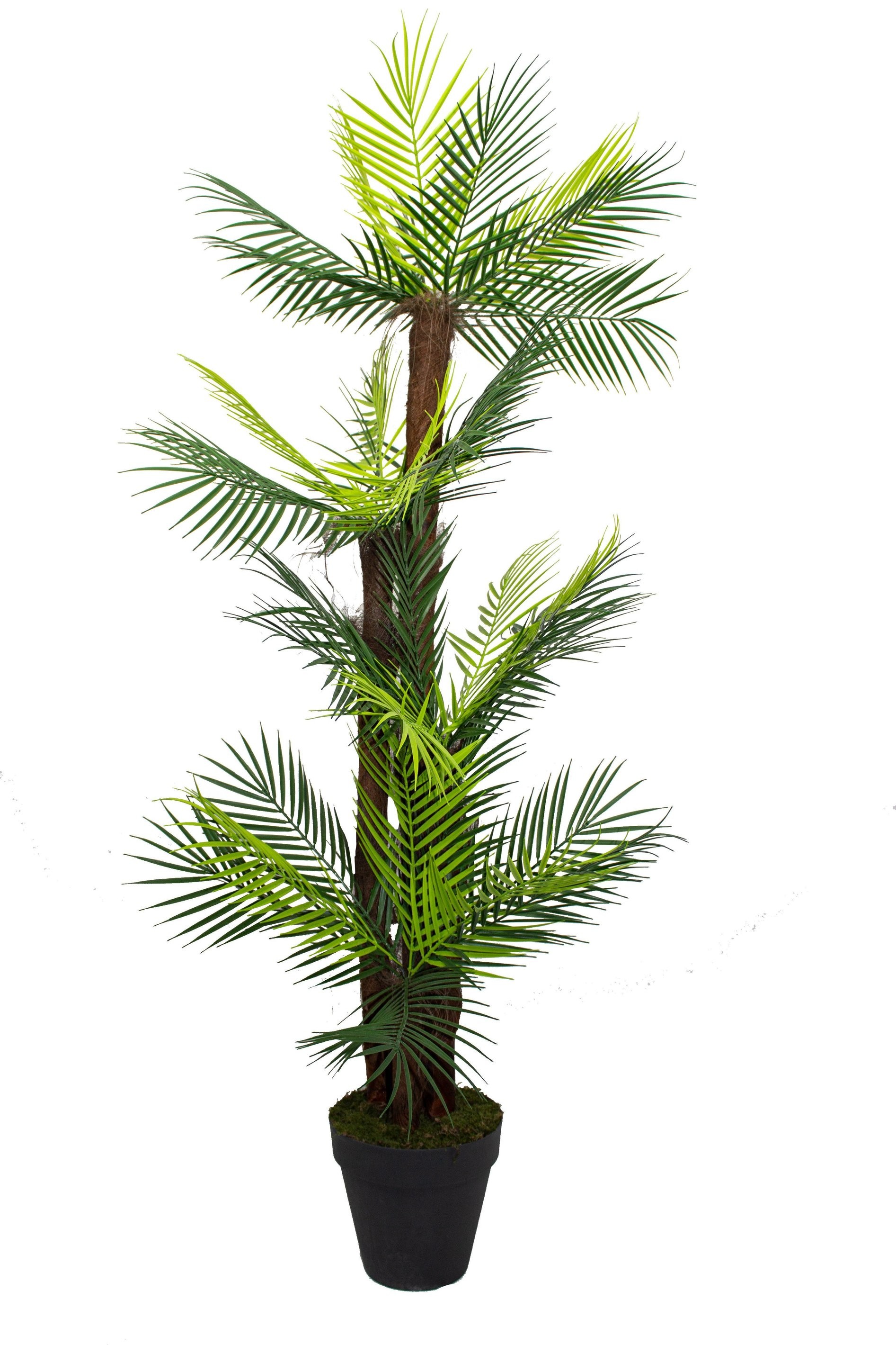 Yapay Areka Ağacı 4 Gövde 160 Cm