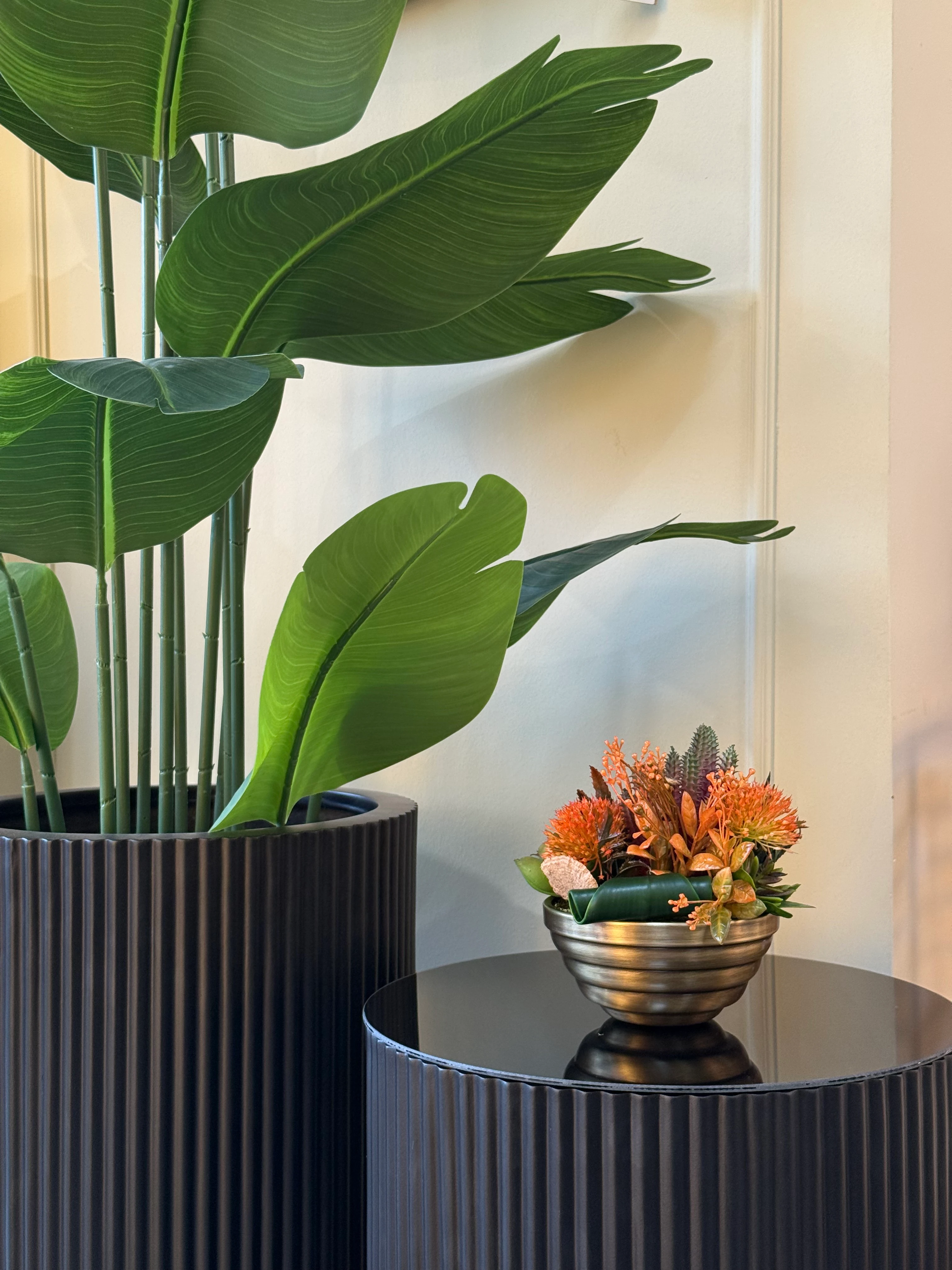 ESKİTME SAKSI SUKULENT ARANJMANI