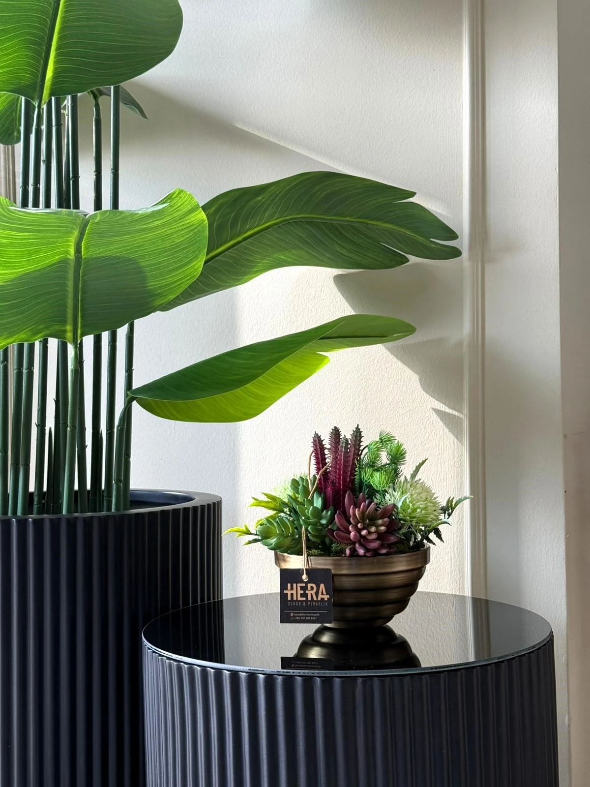 BOĞUMLU SAKSI SUKULENT ARANJMANI