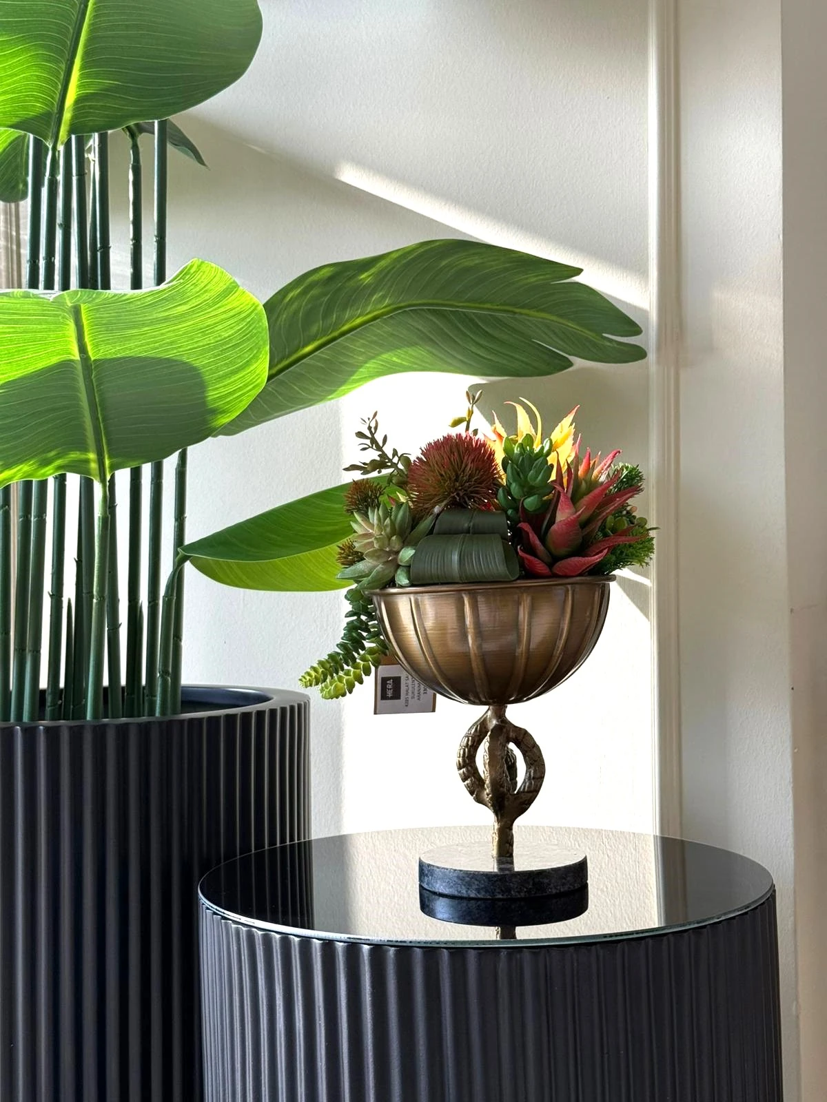 HALAT DETAYLI SAKSI SUKULENT ARANJMANI