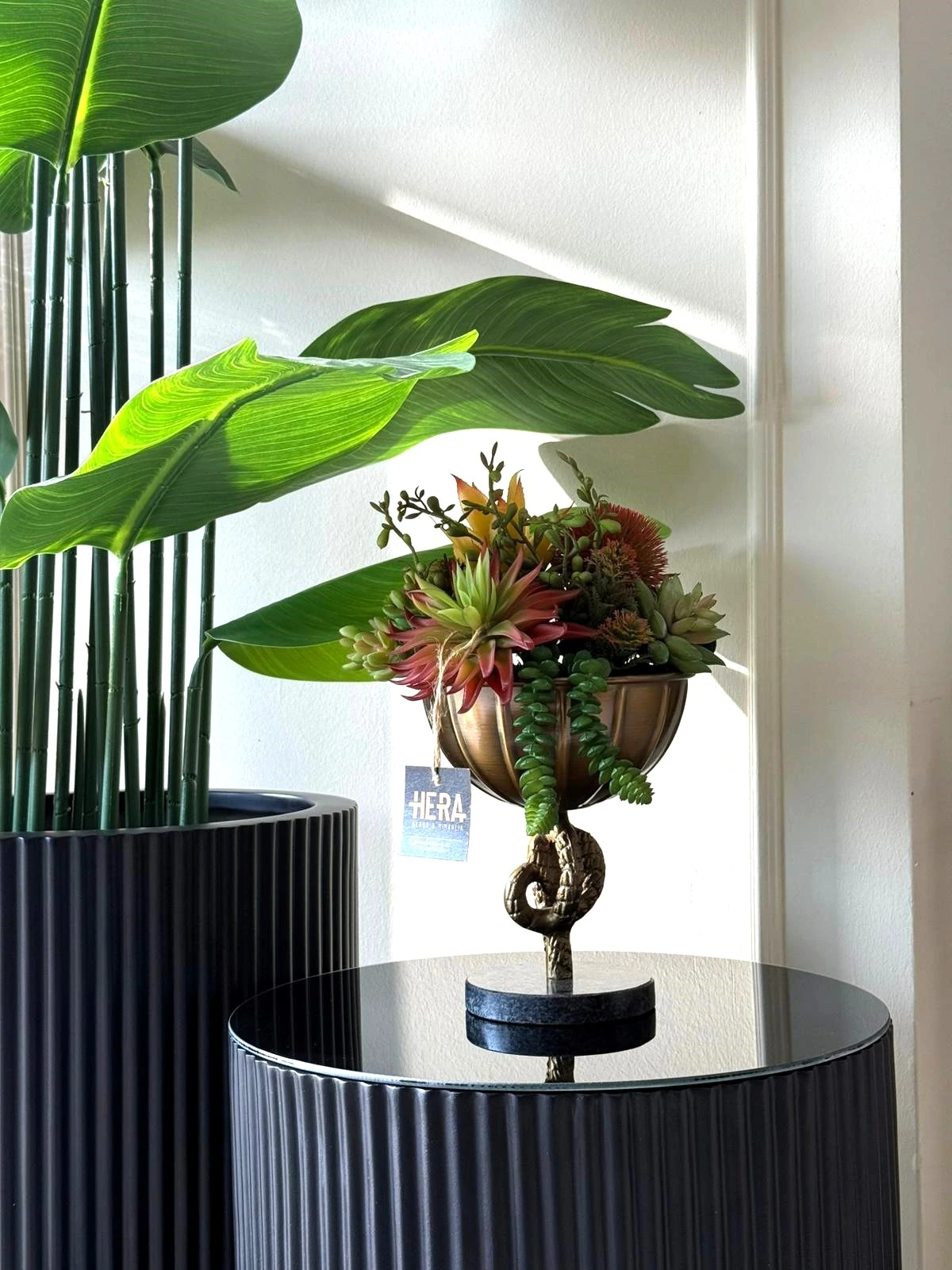 HALAT DETAYLI SAKSI SUKULENT ARANJMANI