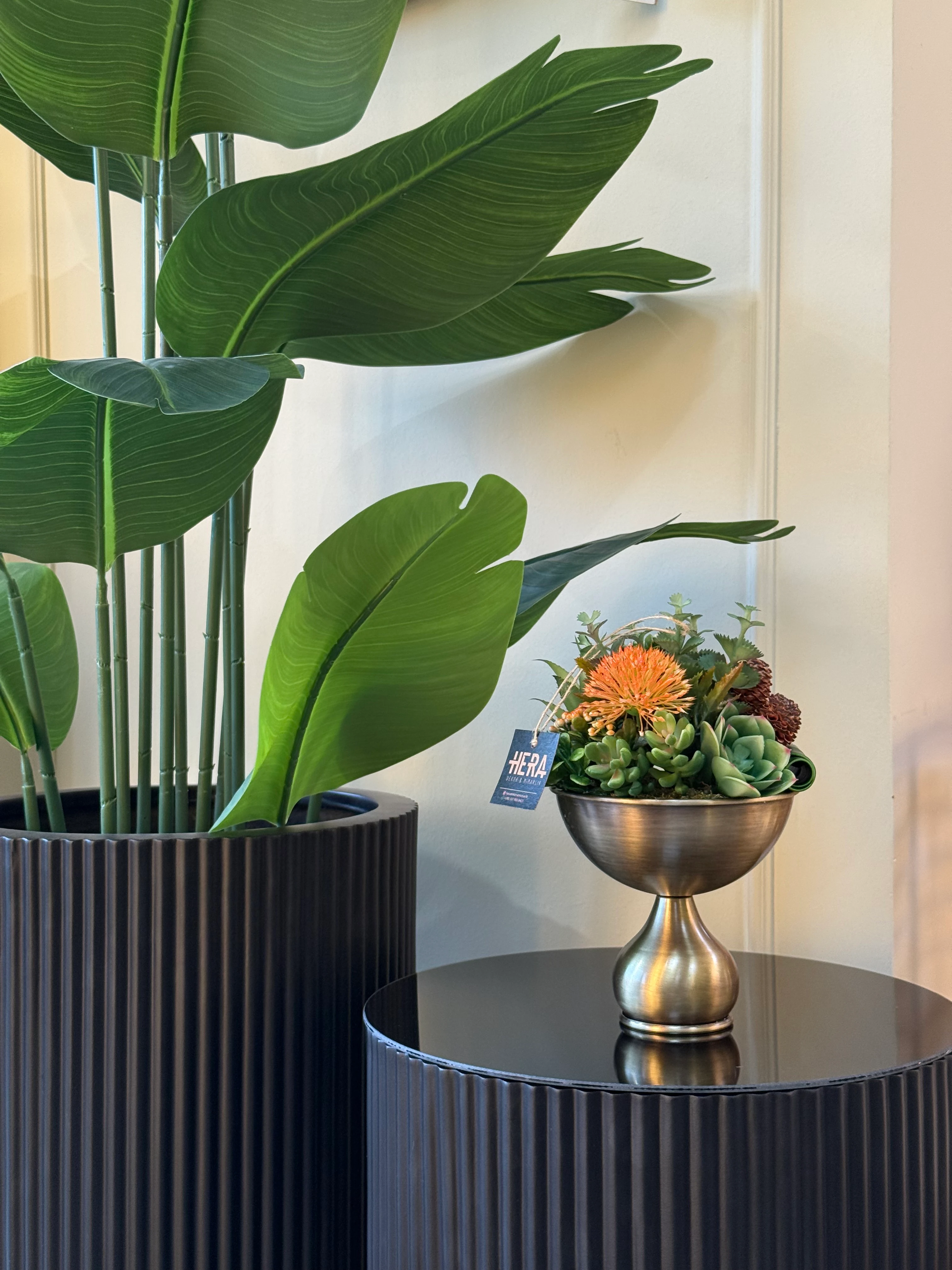 ESKİTME SAKSI SUKULENT ARANJMANI