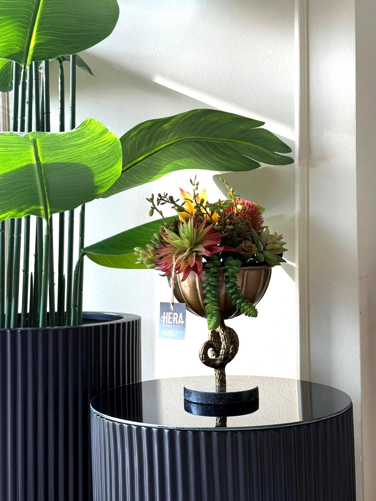 HALAT DETAYLI SAKSI SUKULENT ARANJMANI