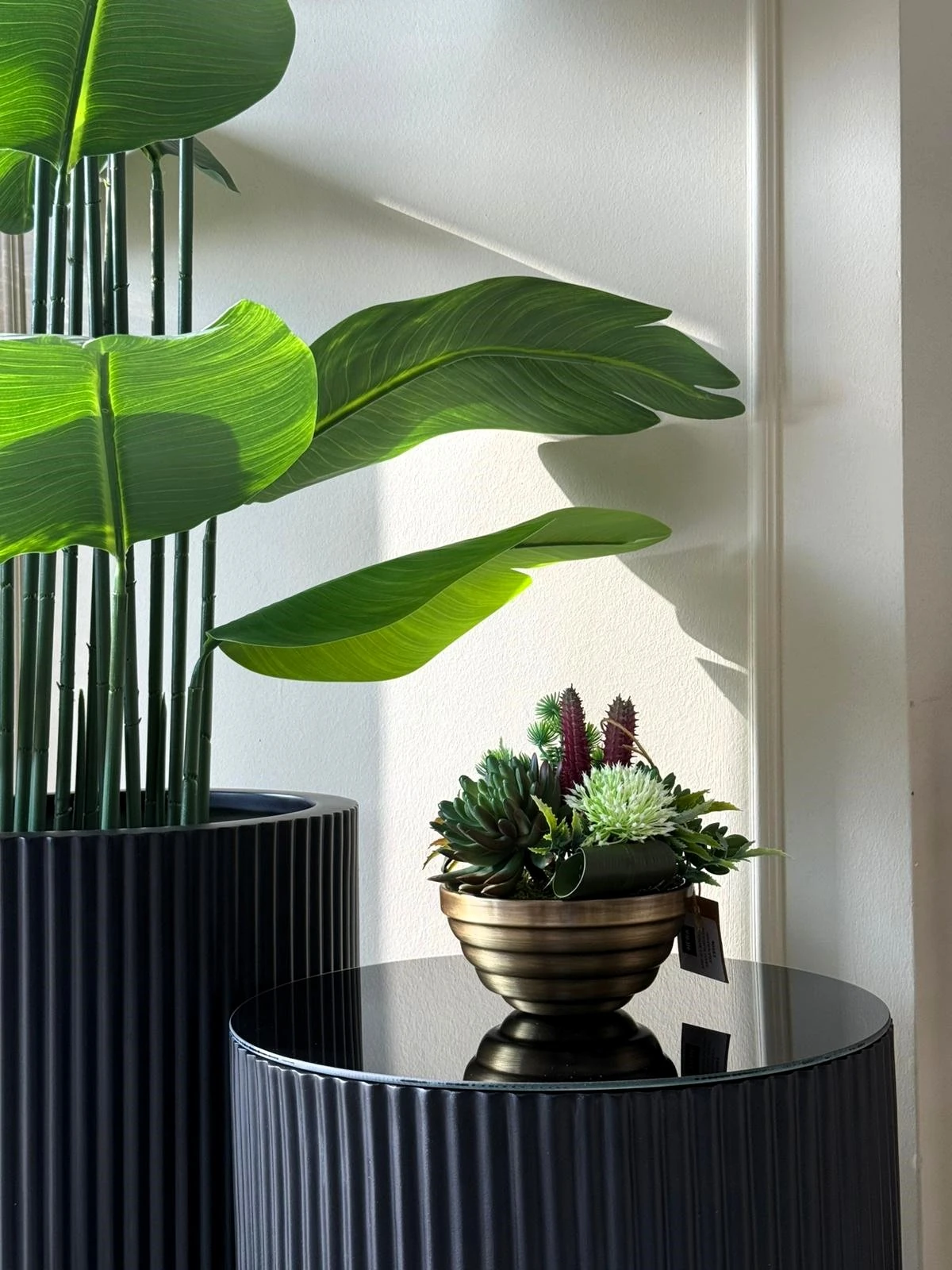 BOĞUMLU SAKSI SUKULENT ARANJMANI