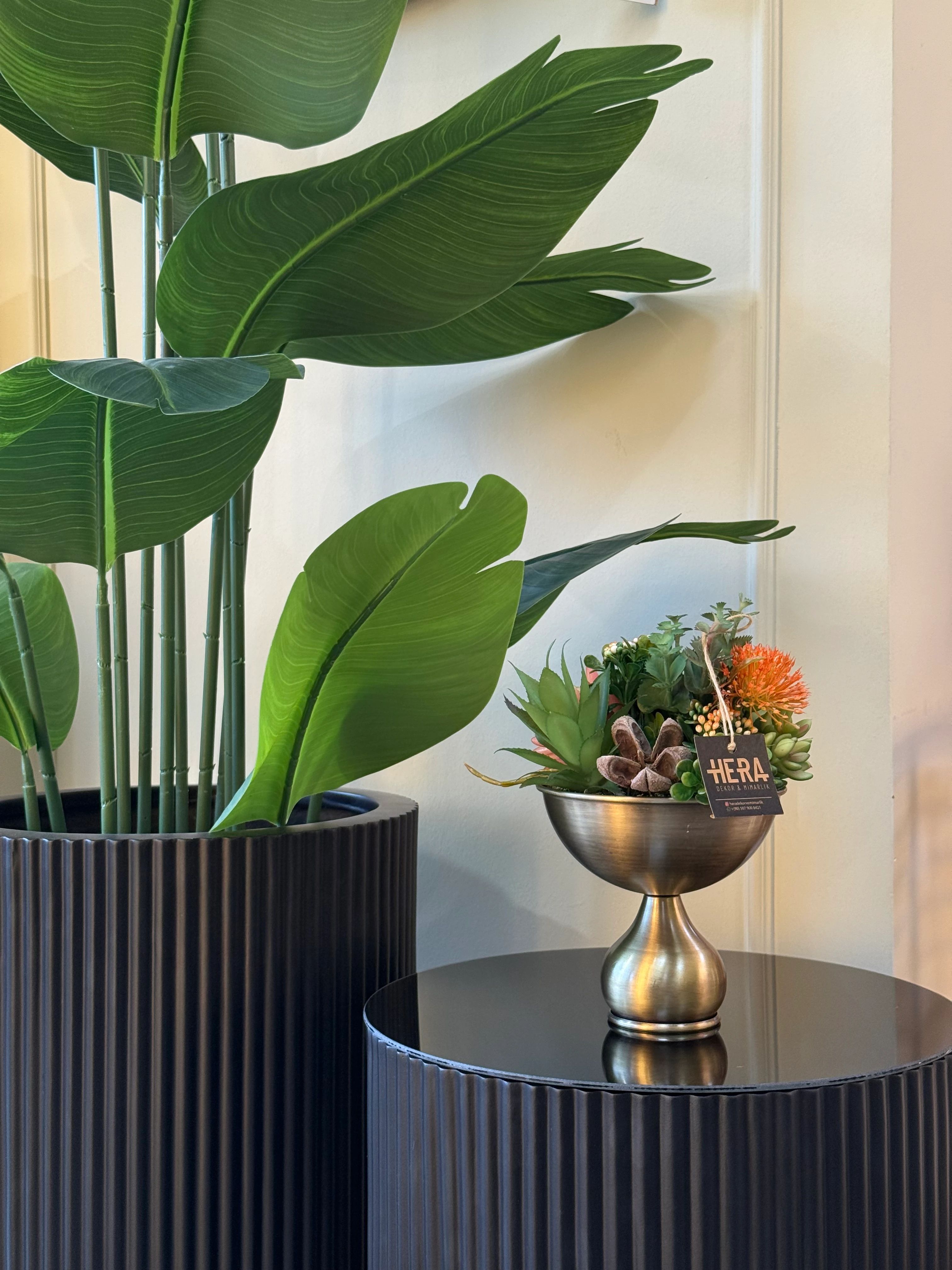 ESKİTME SAKSI SUKULENT ARANJMANI