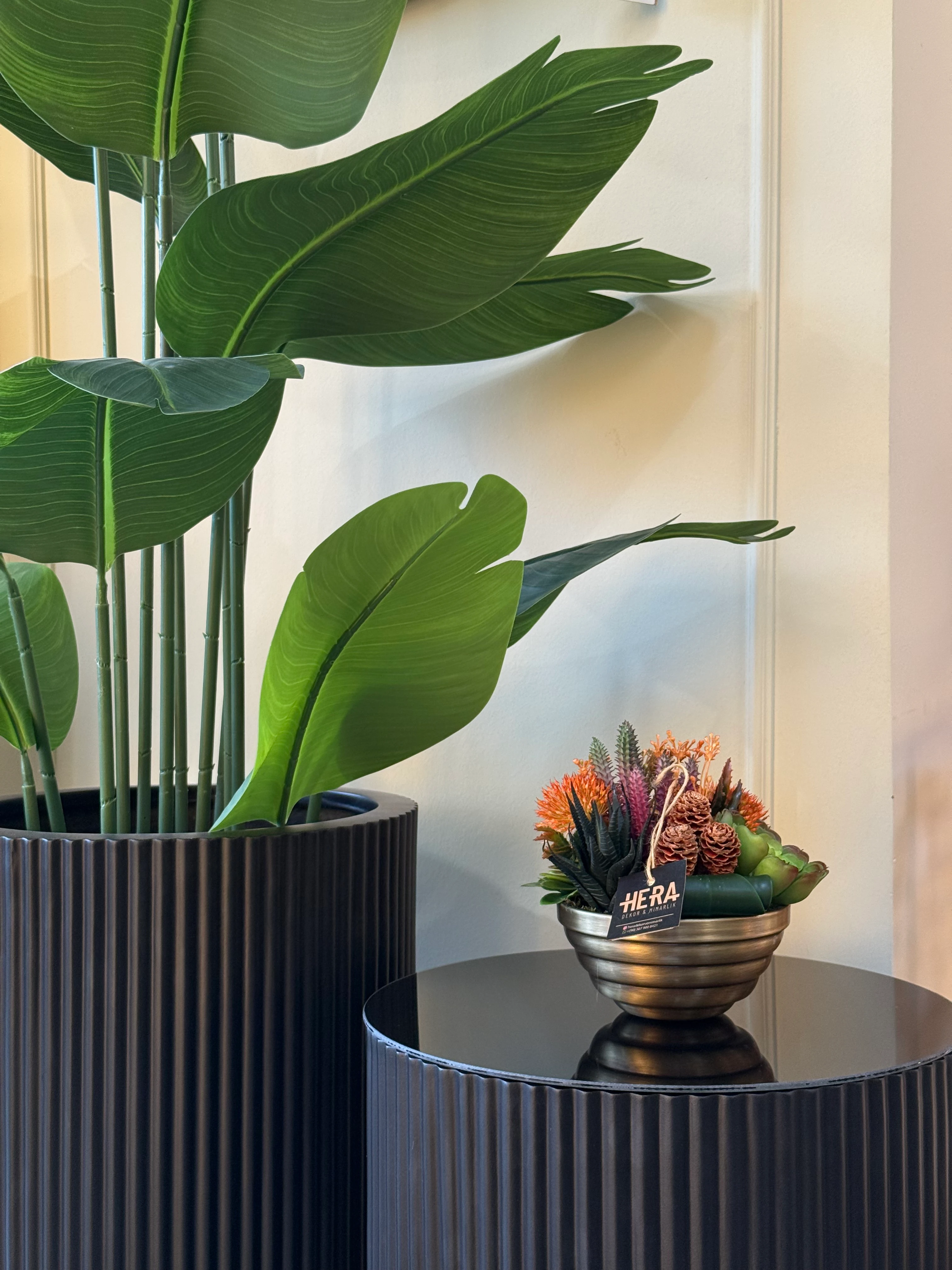 ESKİTME SAKSI SUKULENT ARANJMANI