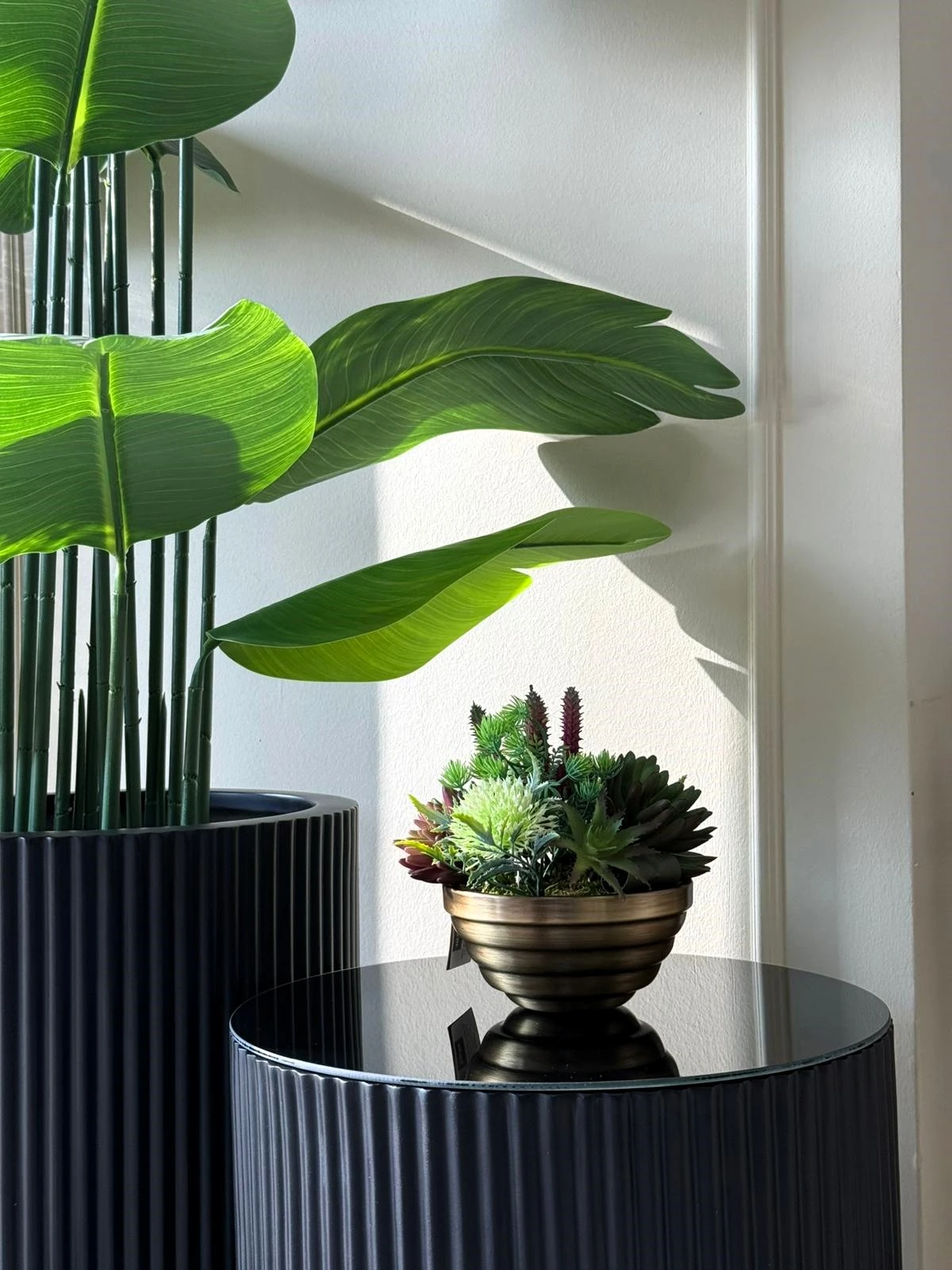 BOĞUMLU SAKSI SUKULENT ARANJMANI