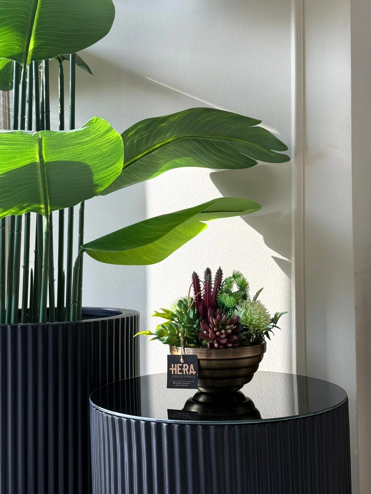 BOĞUMLU SAKSI SUKULENT ARANJMANI