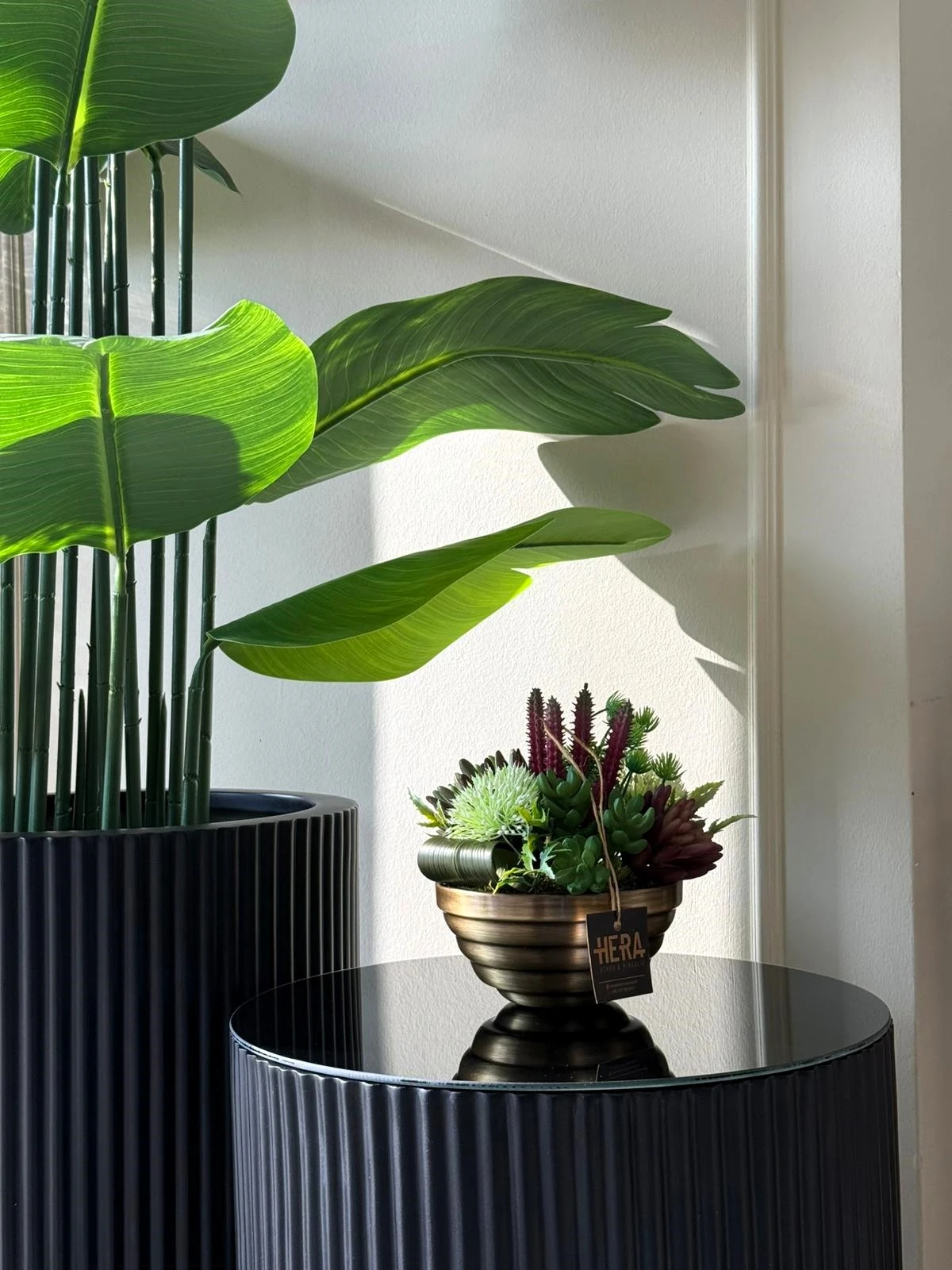 BOĞUMLU SAKSI SUKULENT ARANJMANI