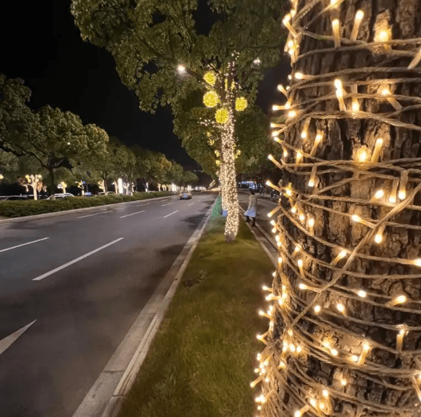 ACK IP65 10 Metre Günışığı İp Led Su Geçirmez 100 Ledli 