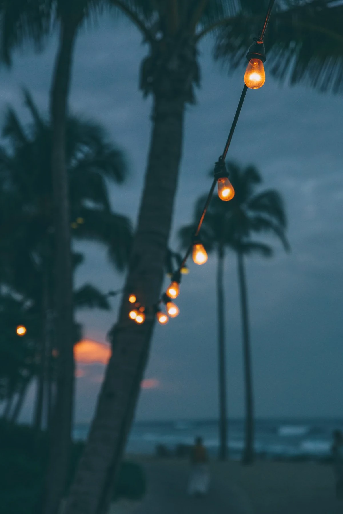 Horoz Elektrik Carnaval 10 Metre 10 Duylu Dış Mekan Duy Takımı