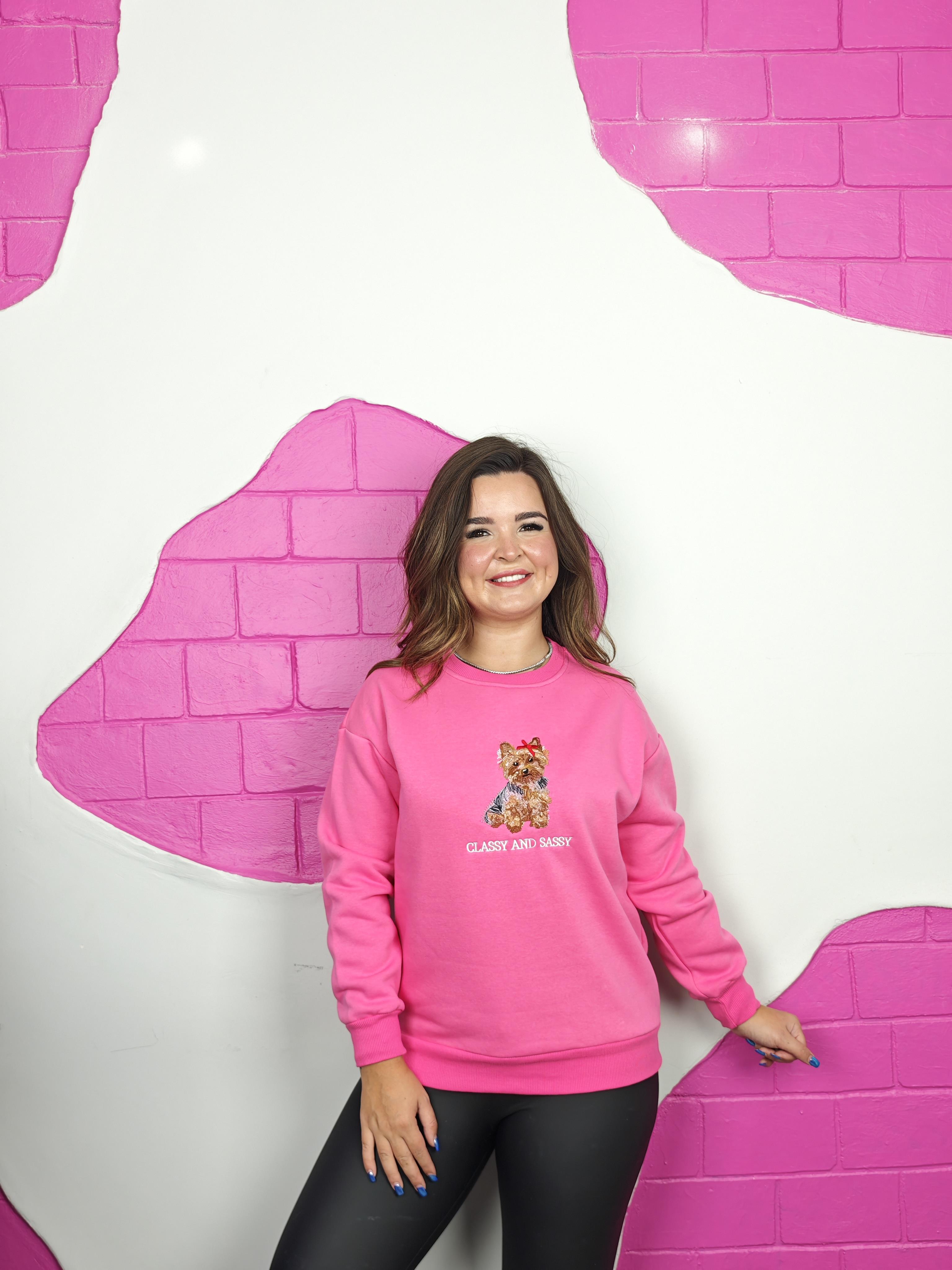 BÜYÜK BEDEN PEMBE KÖPEK NAKIŞLI SWEATSHIRT