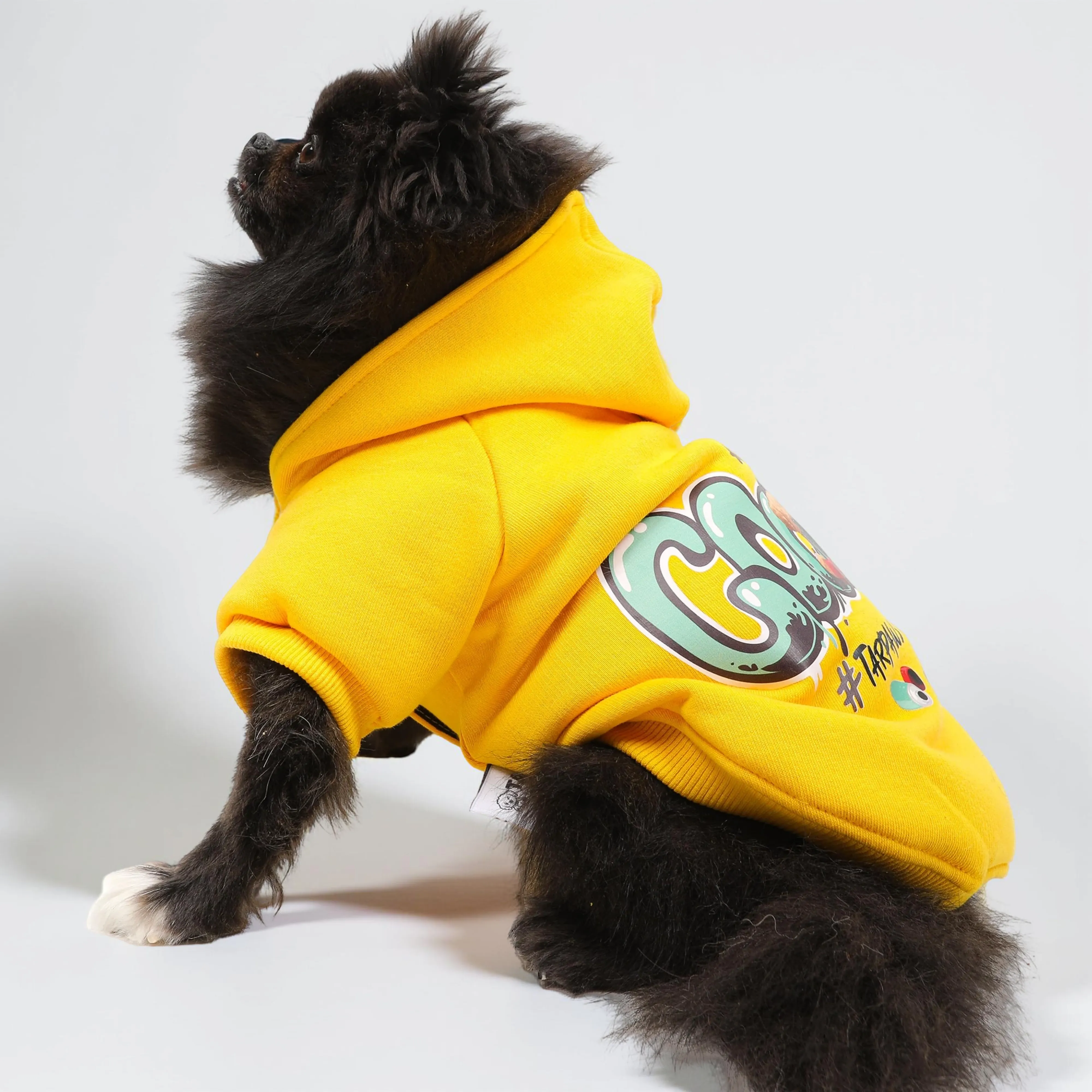 Köpek Hoodie