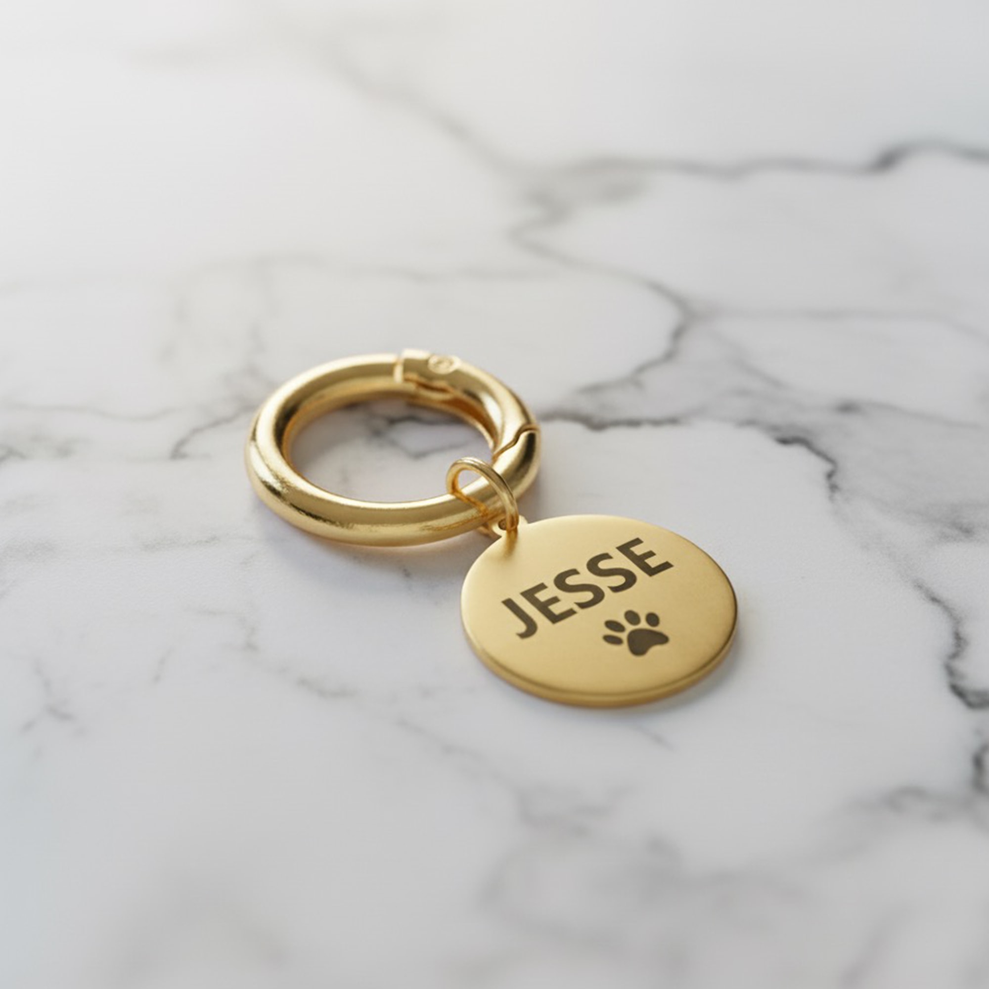 İsimli Çelik Kedi Köpek Künyesi - Altın