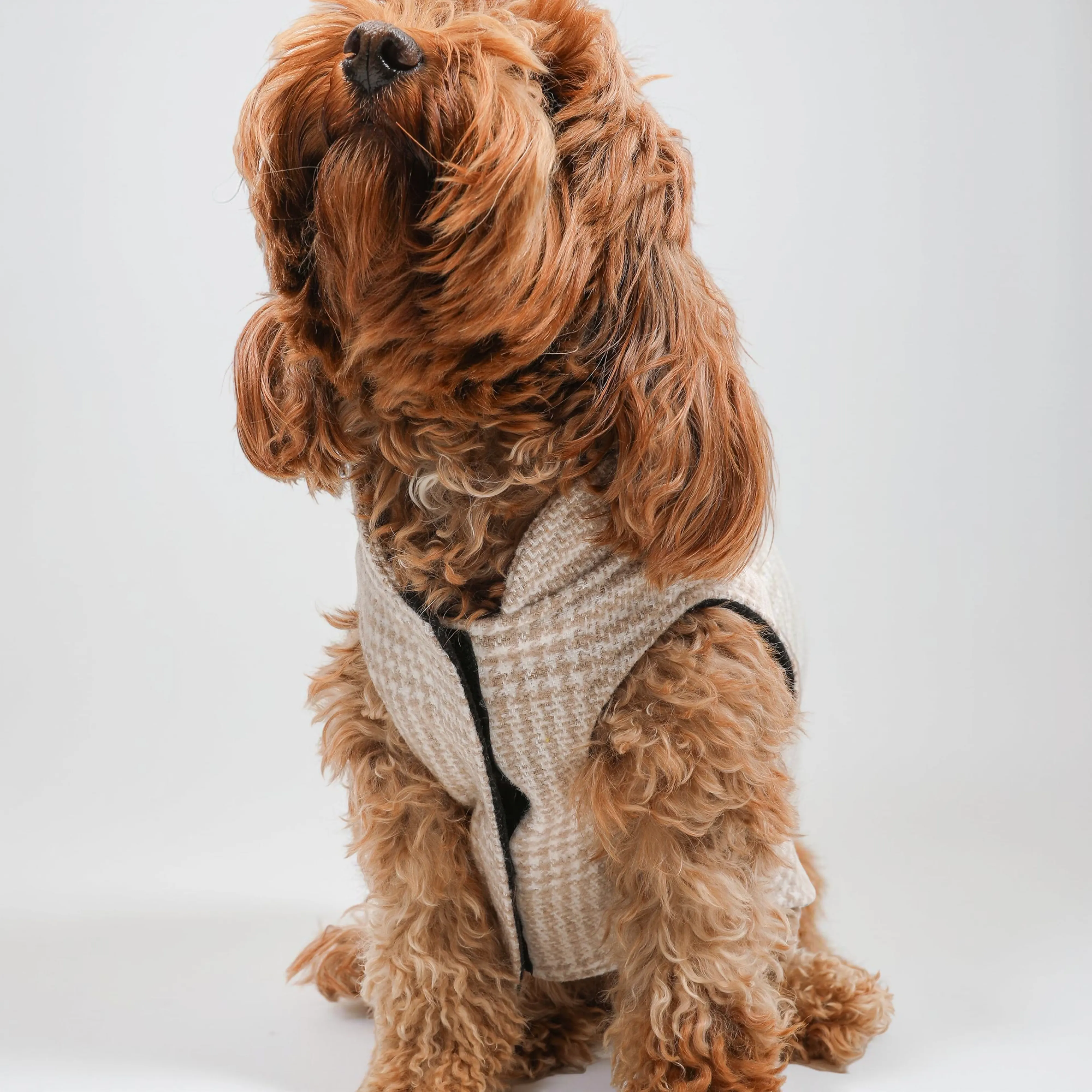 Köpek Oduncu Yeleği - Krem