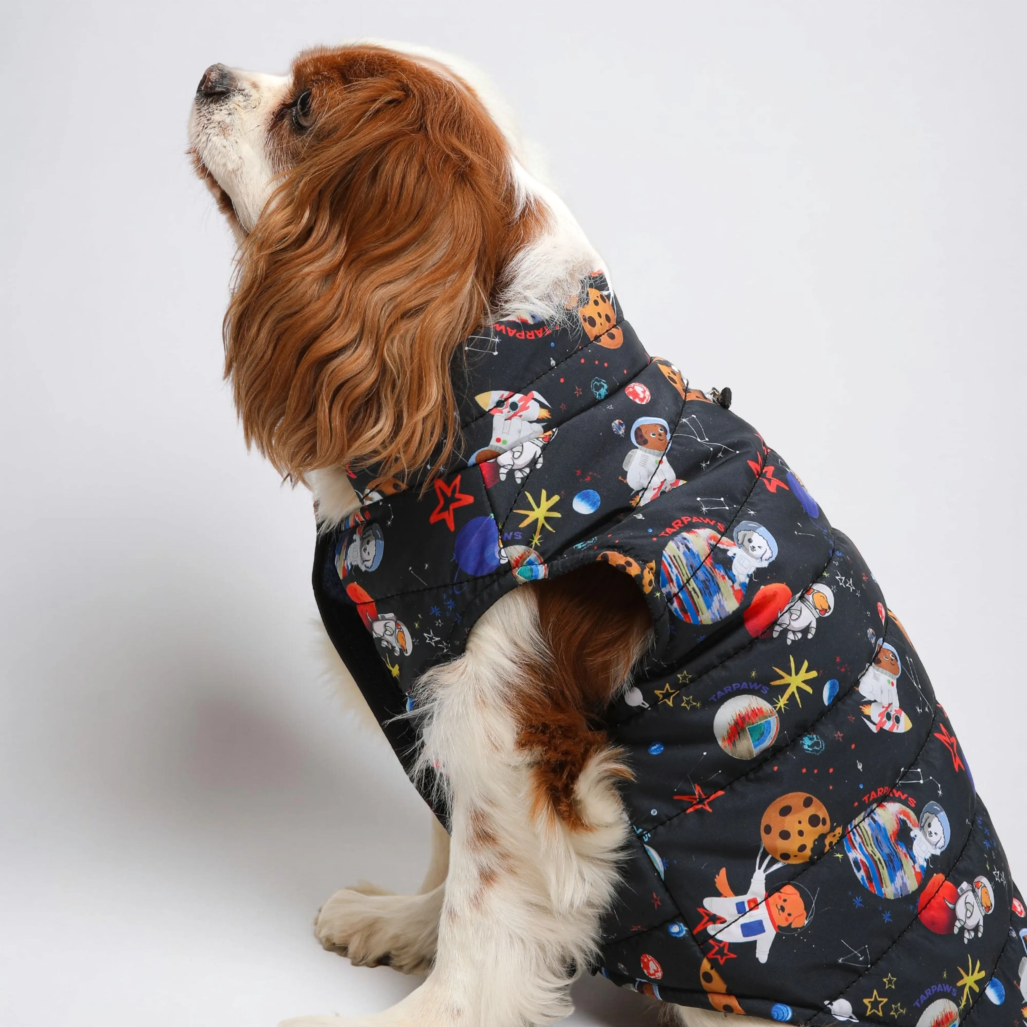 Köpek Şişme Yeleği