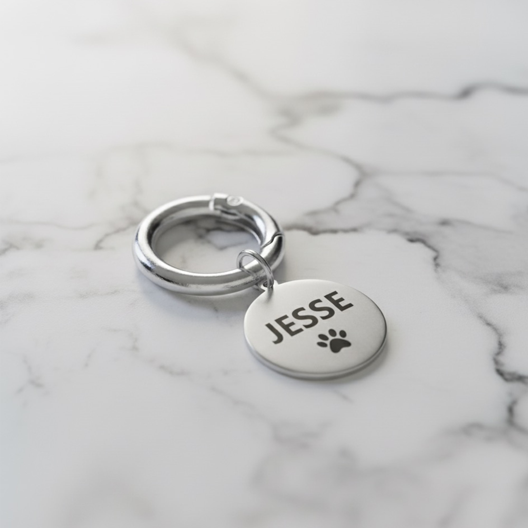 İsimli Çelik Kedi Köpek Künyesi - Gümüş