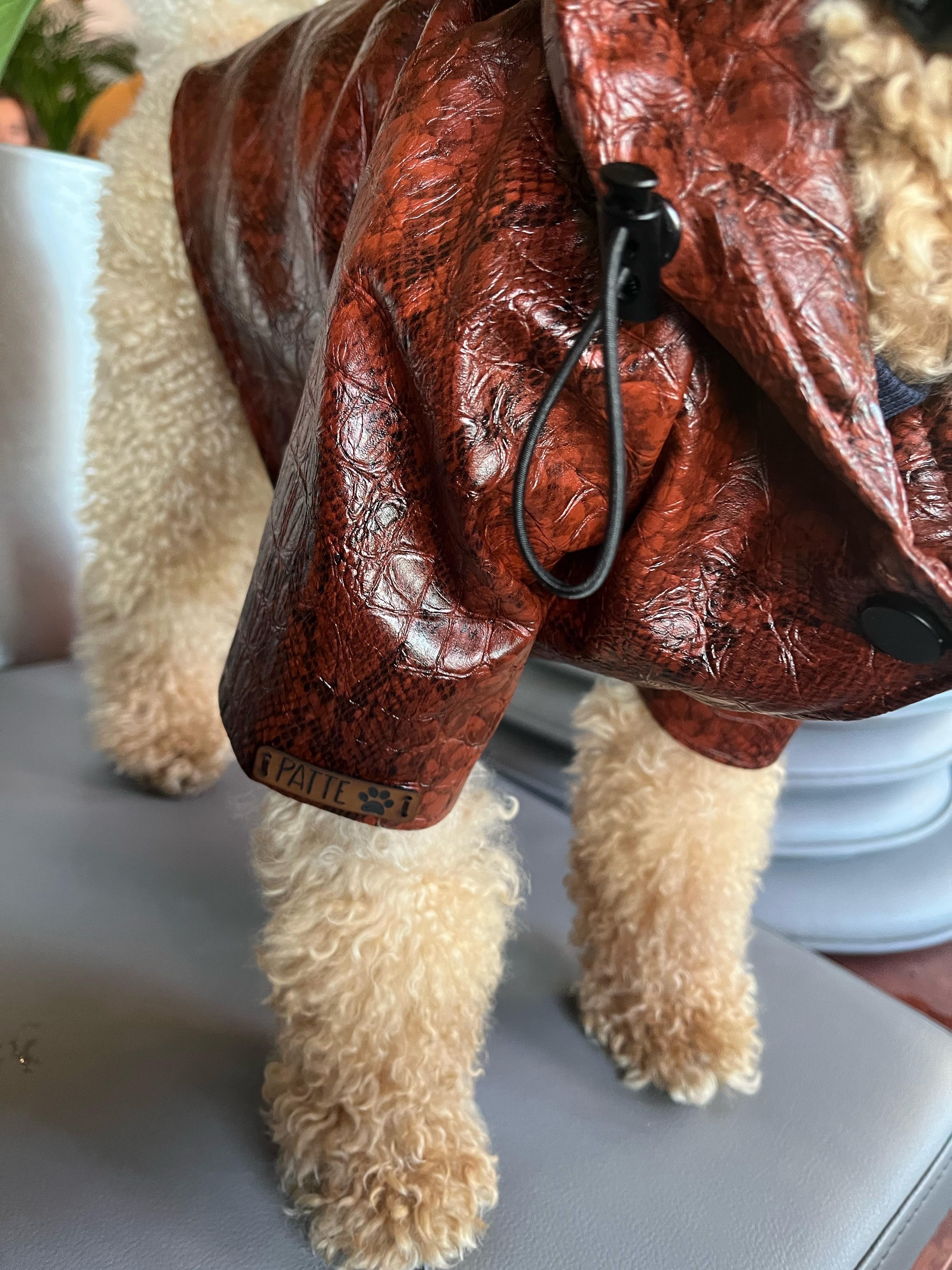 Köpek Ceketi