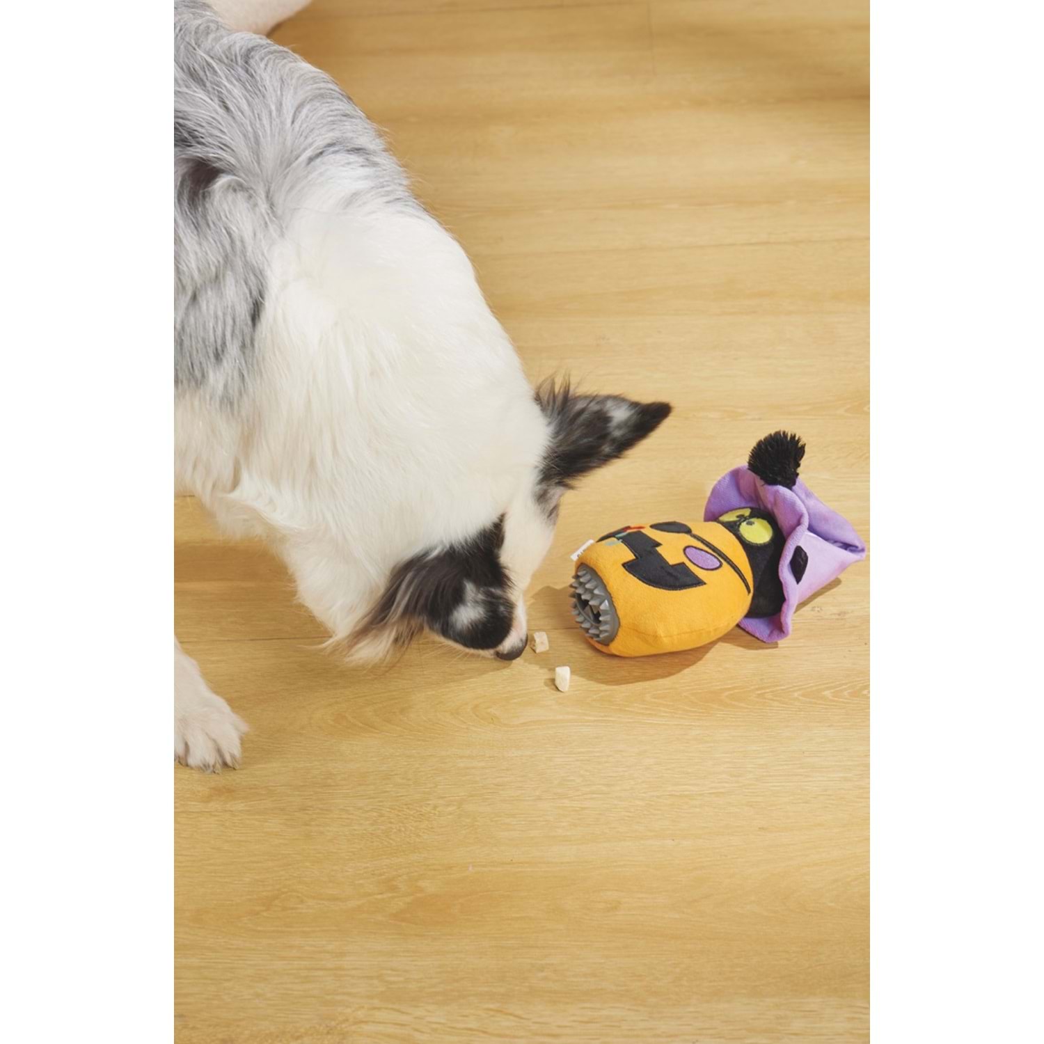 JesToys Snack Attack Köpek Oyuncağı