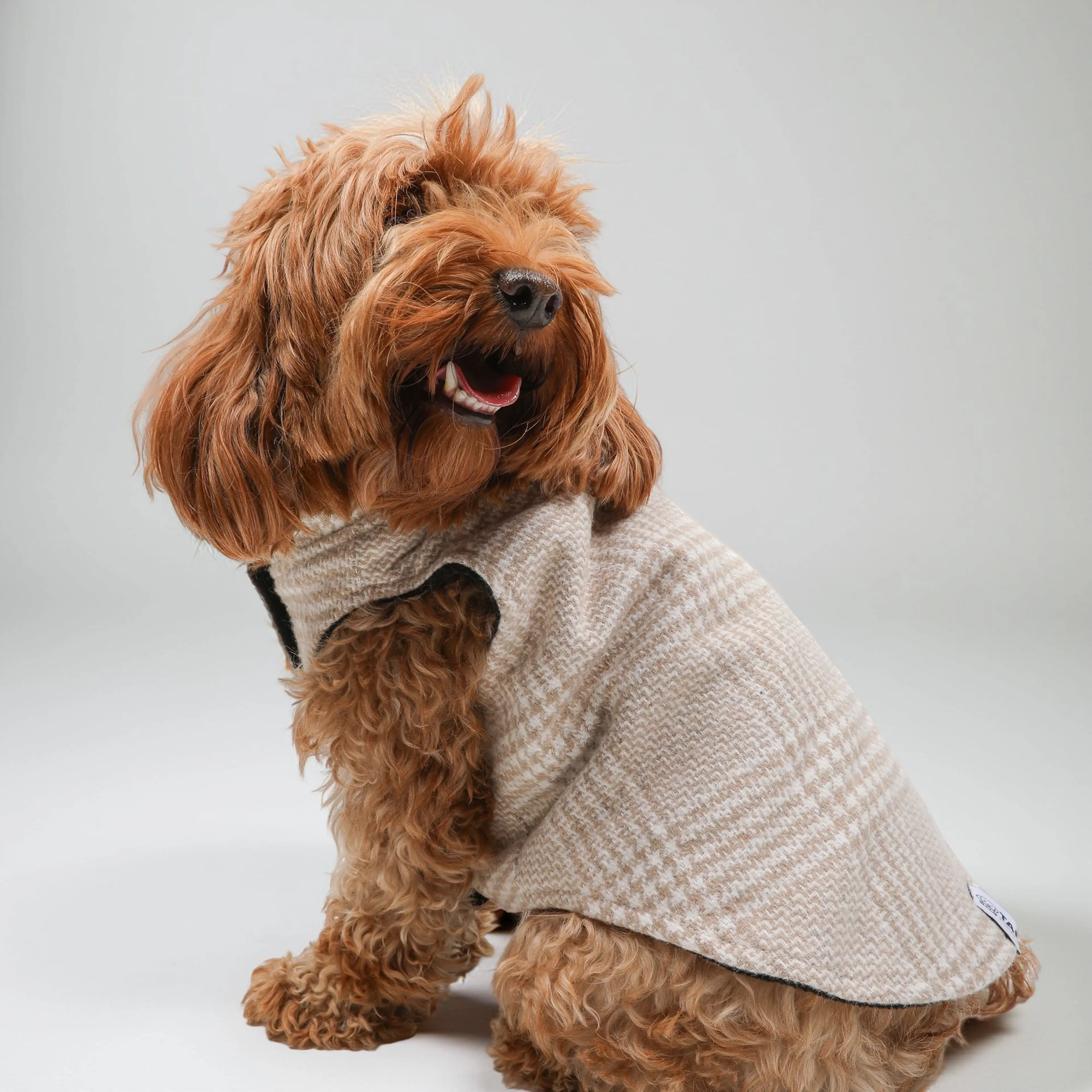 Köpek Oduncu Yeleği