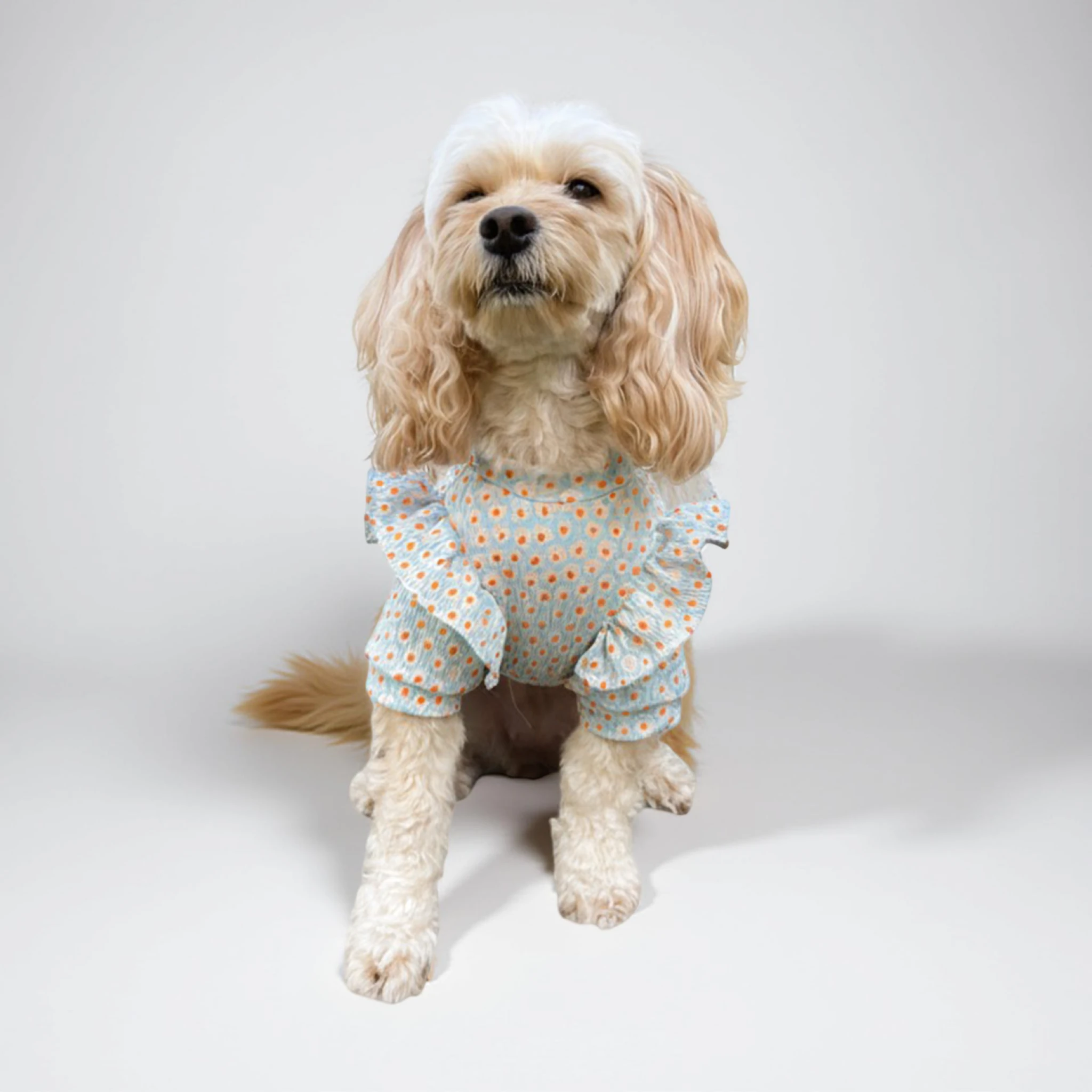 Fırfırlı Köpek Sweatshirt