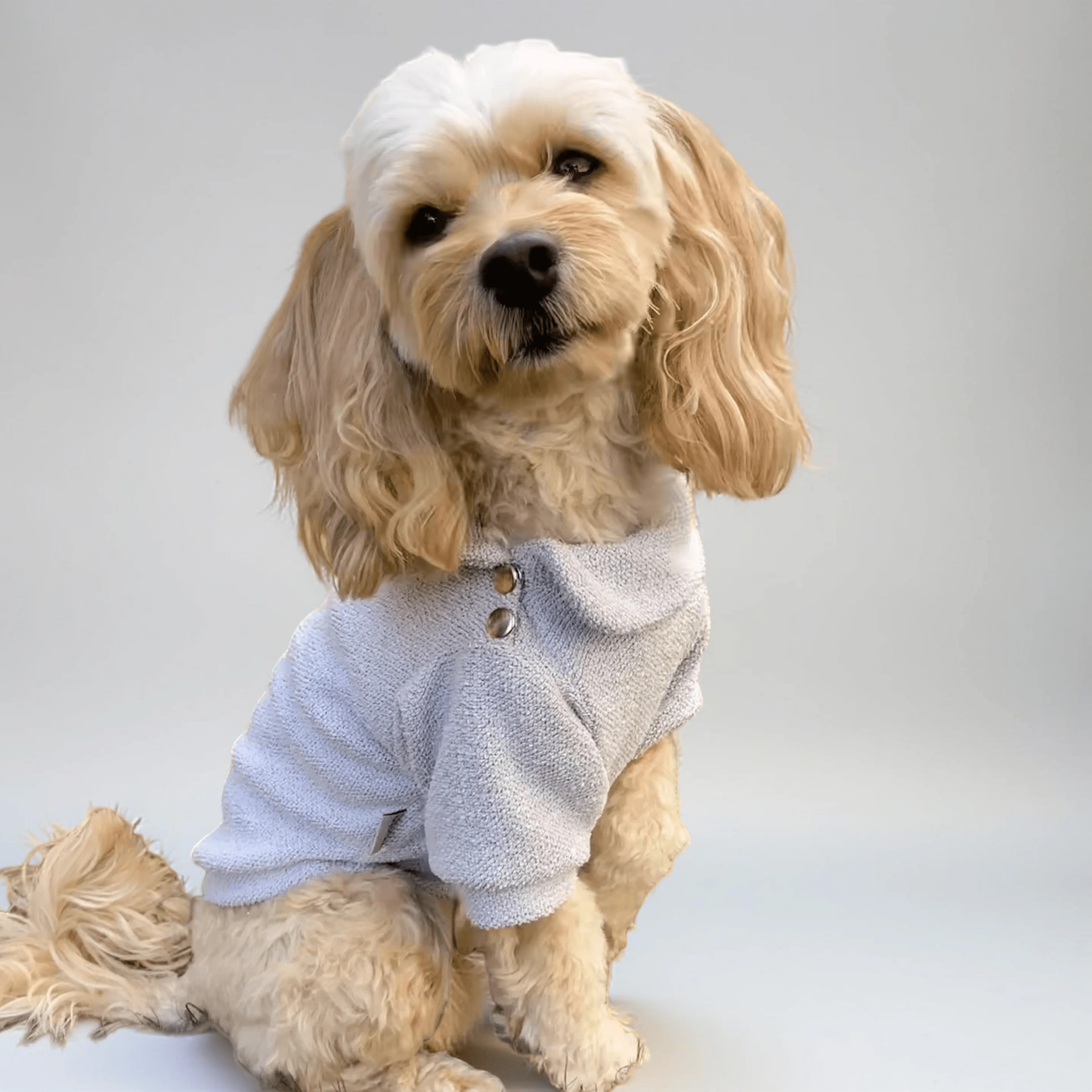 Köpek Sweatshirt