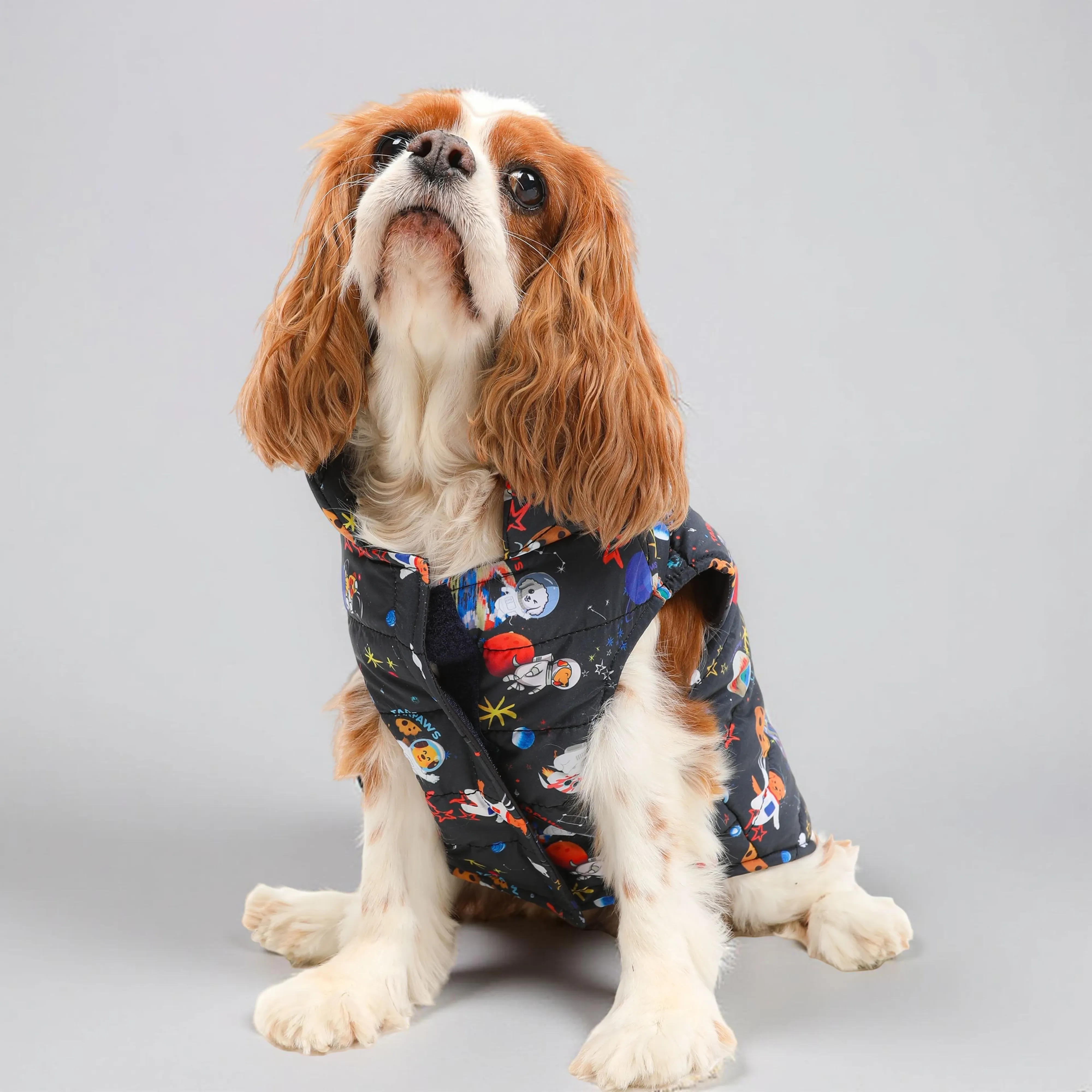 Köpek Şişme Yeleği - Galaksi