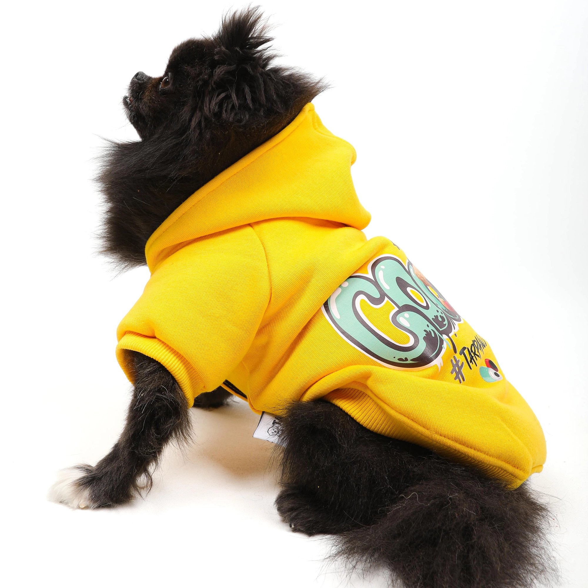 Kedi ve Köpek Hoodie