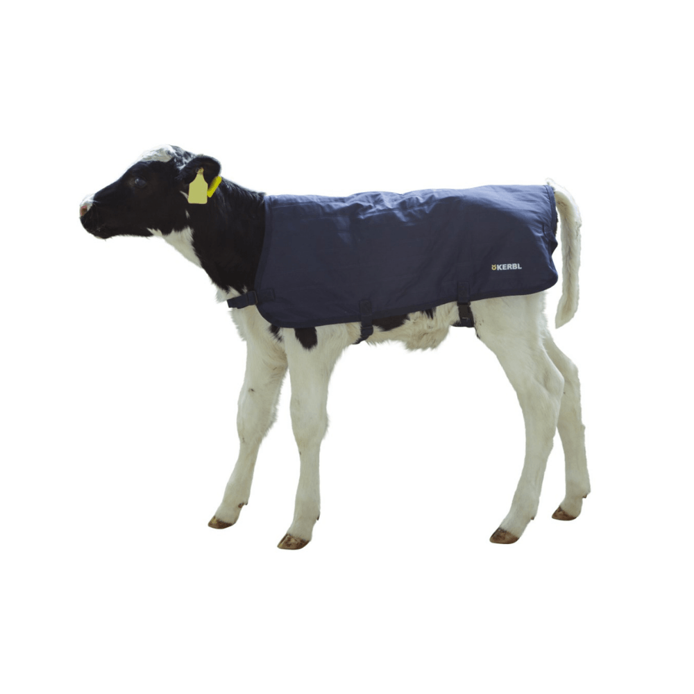 Kerbl Buzağı Battaniyesi EasyWear