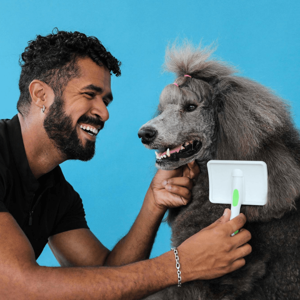 Andis Kaygan Kedi Köpek Fırça Orta Boy