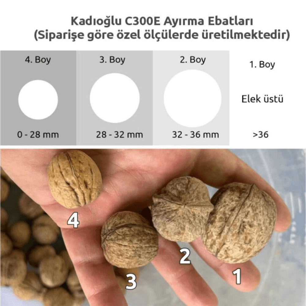 Kadıoğlu C300E 3 + 1 Ayıran Tamburlu Ceviz Boylama Makinesi 200V