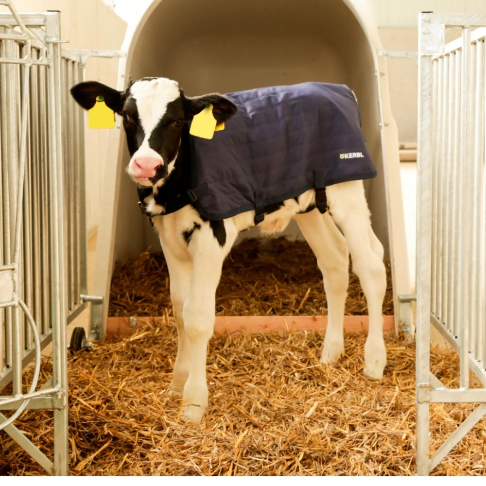 Kerbl Buzağı Battaniyesi Ripstop