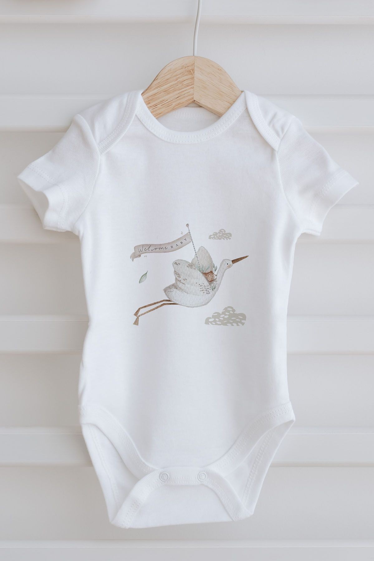 3'lü Bebek Body - Royal Series - 013