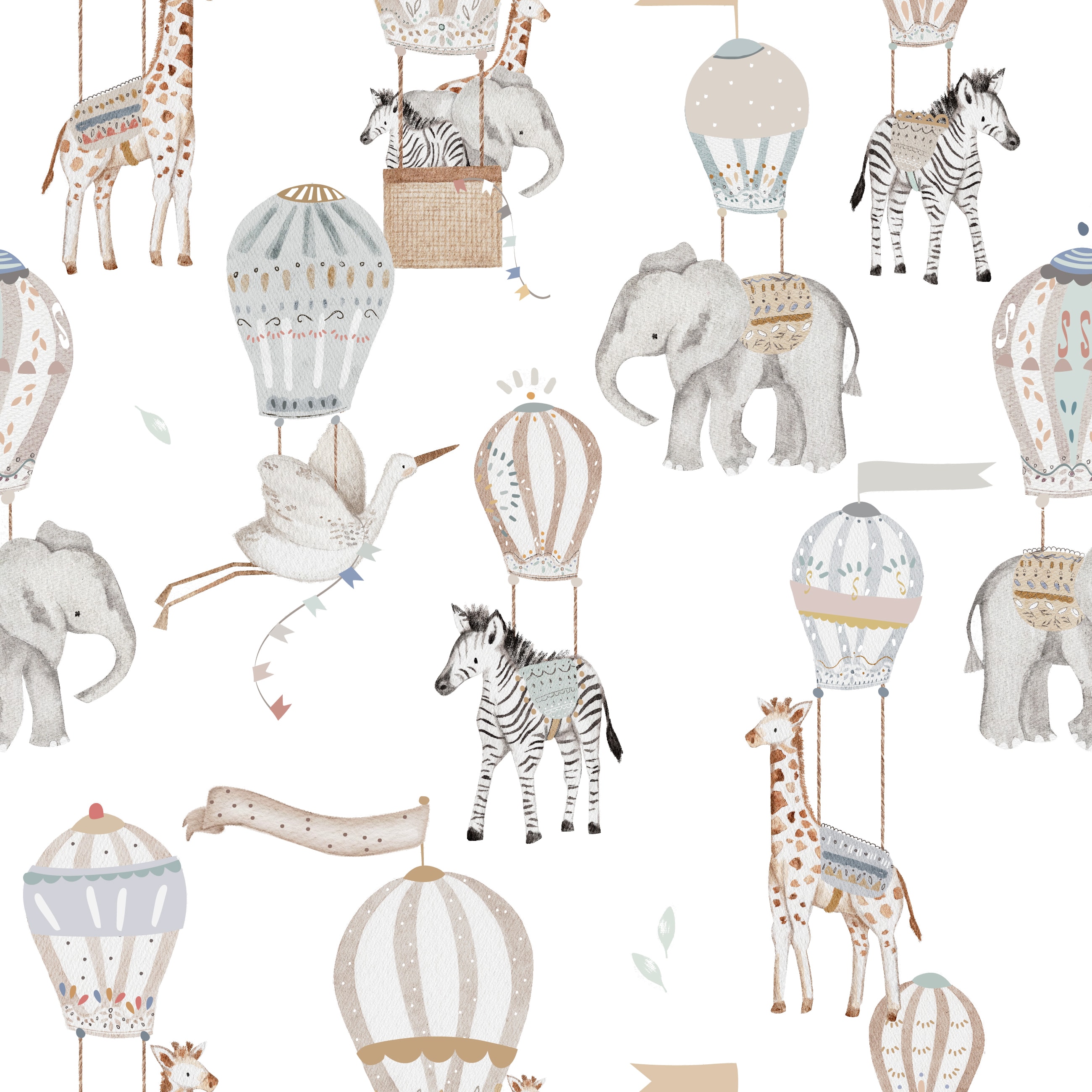 Dreamland Safari