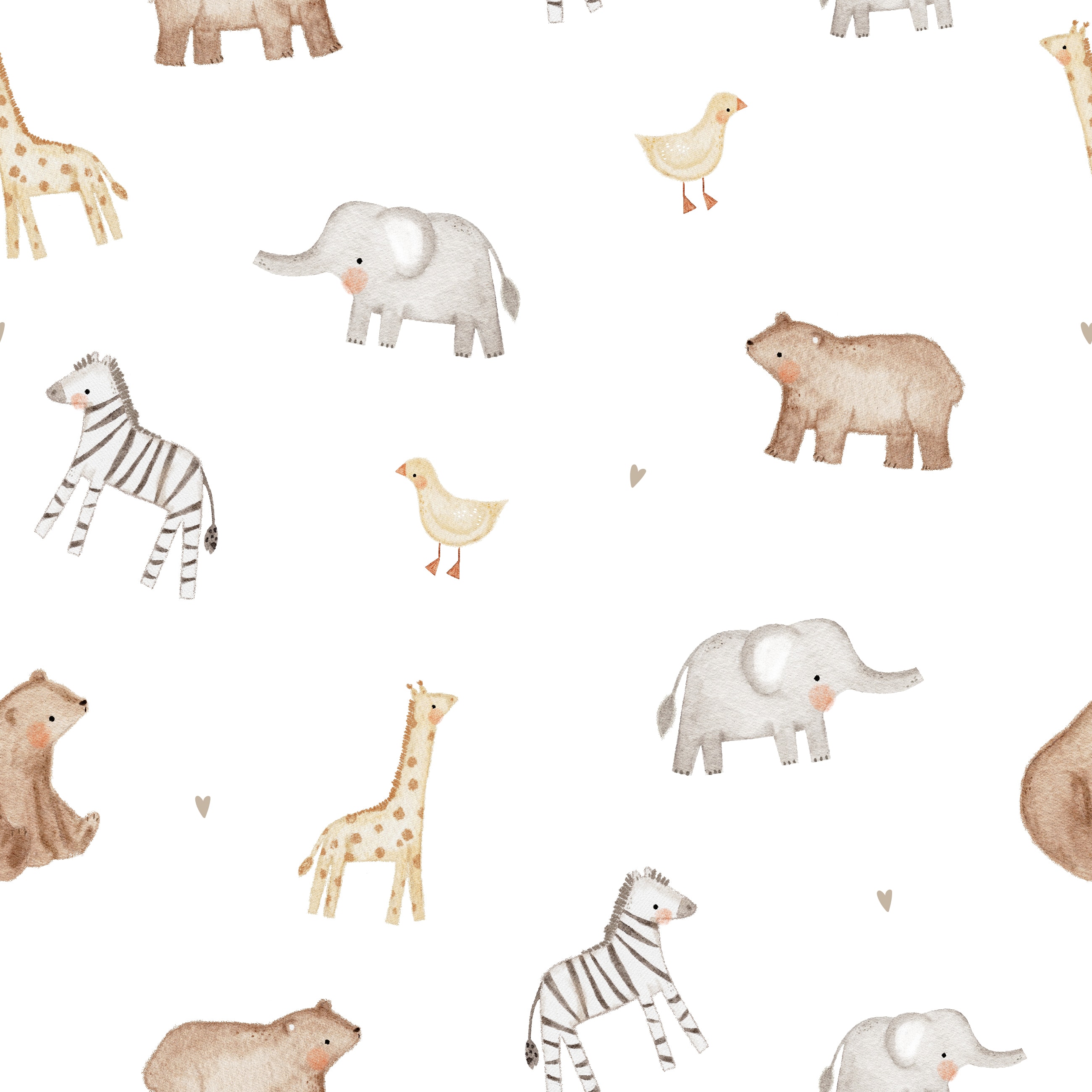 Cute Animals