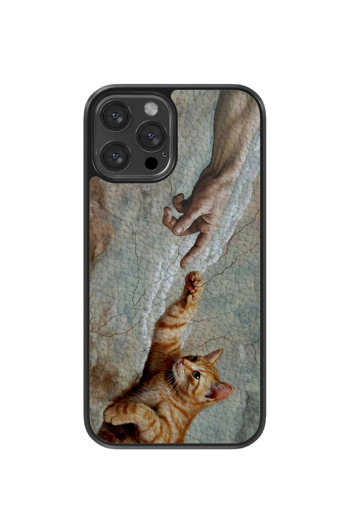 Creation of Cat Vegie Deri Kılıf