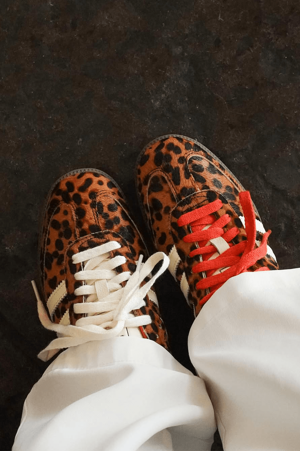 Samba Leopard Sneakers