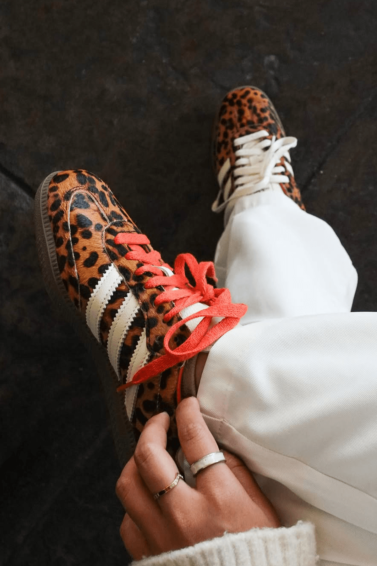 Samba Leopard Sneakers