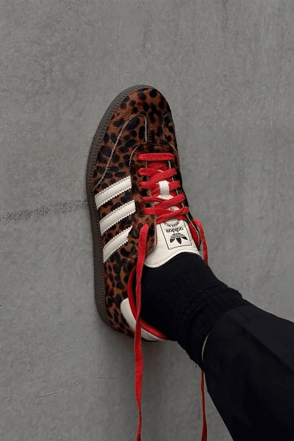 Samba Leopard Sneakers