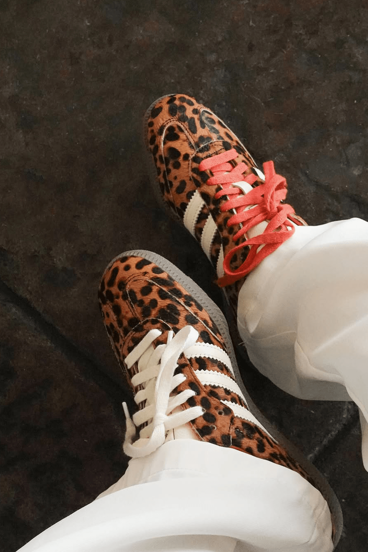Samba Leopard Sneakers