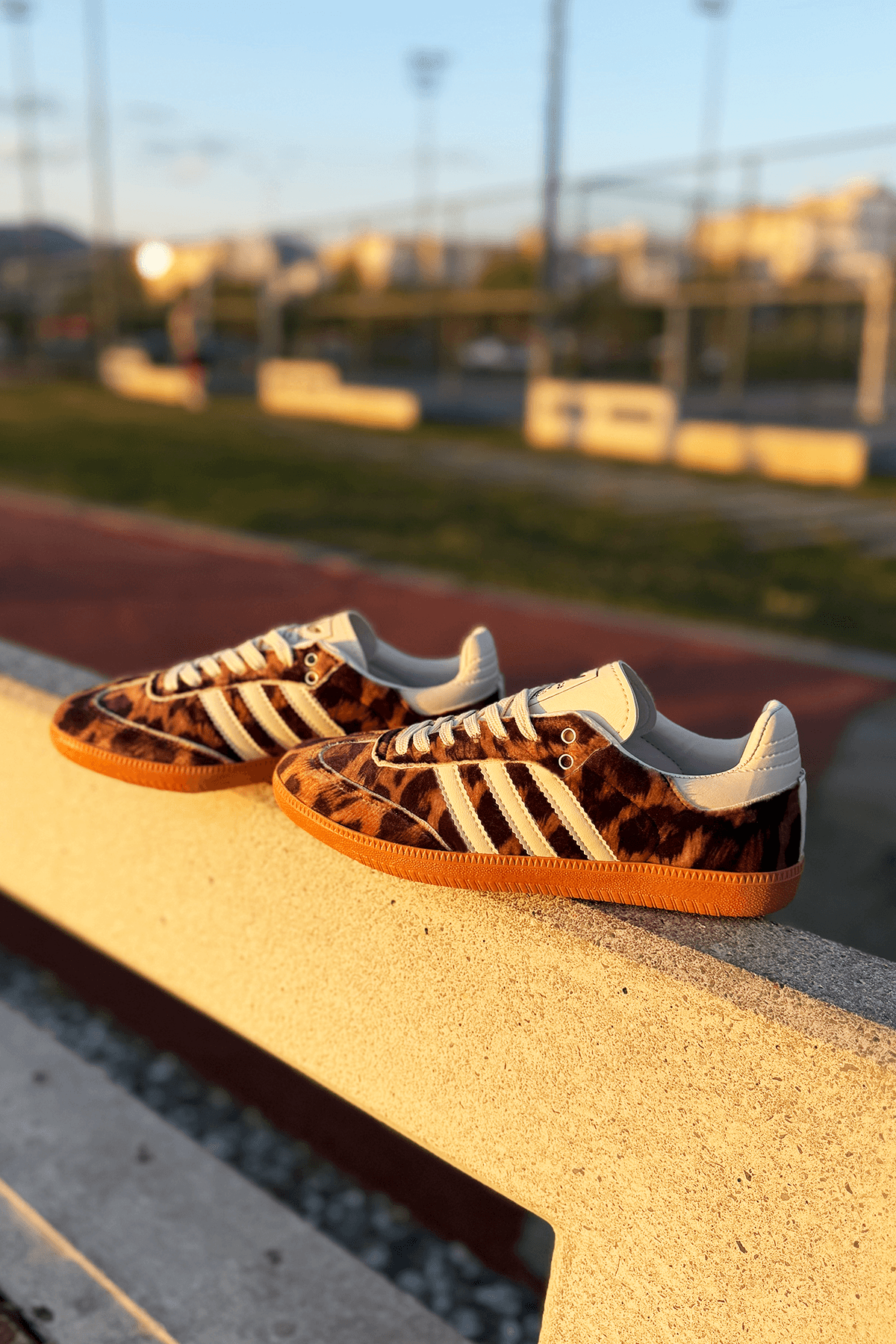 Samba Leopard V2 Sneakers