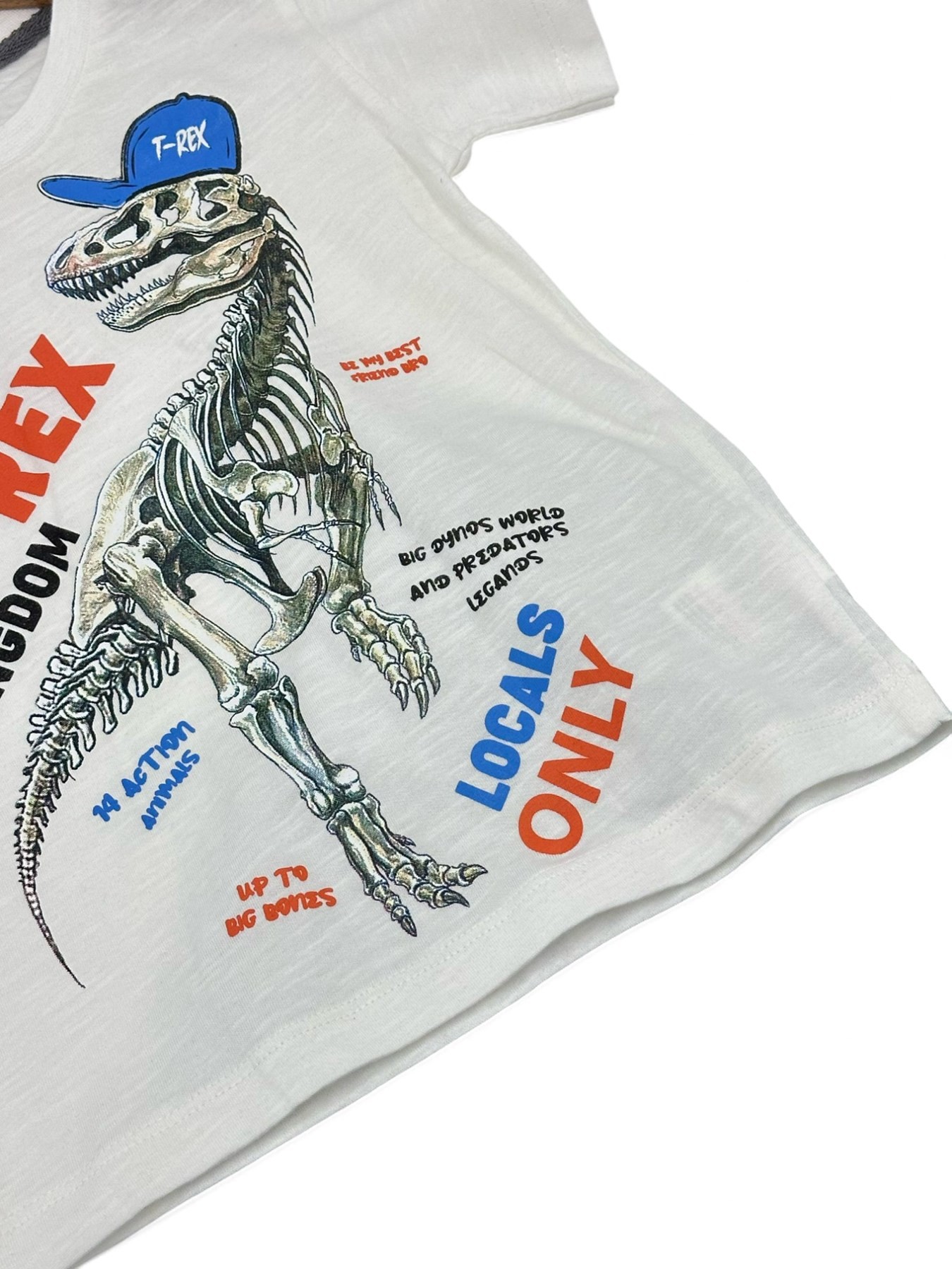 ERKEK ÇOCUK YAZLK T-REX 2-3-4-5-6 YAŞ ŞORTLI ALT ÜST TAKIM R1782