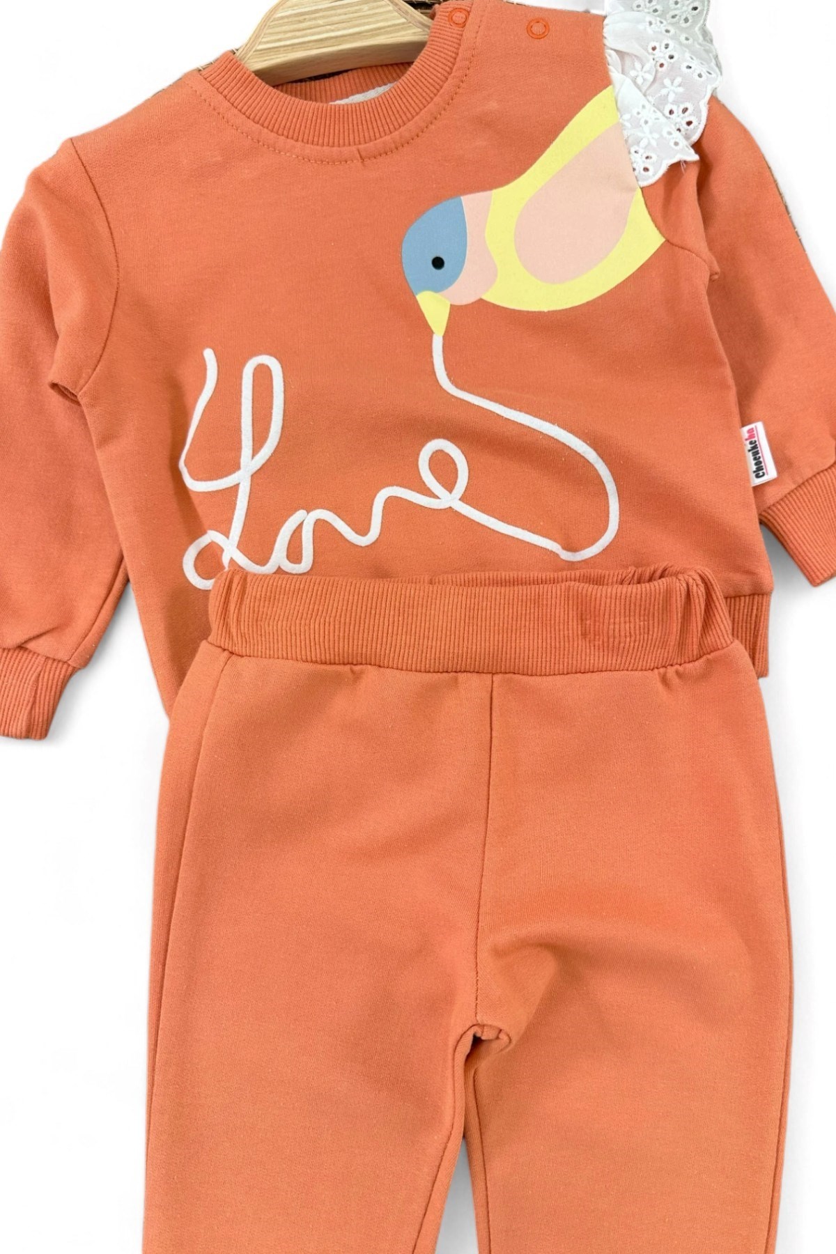 KIZ BEBEK MEVSİMLİK ALT ÜST TAKIM  KUŞ BASKILI BRODE DETAYLI 6-24 AY R1068