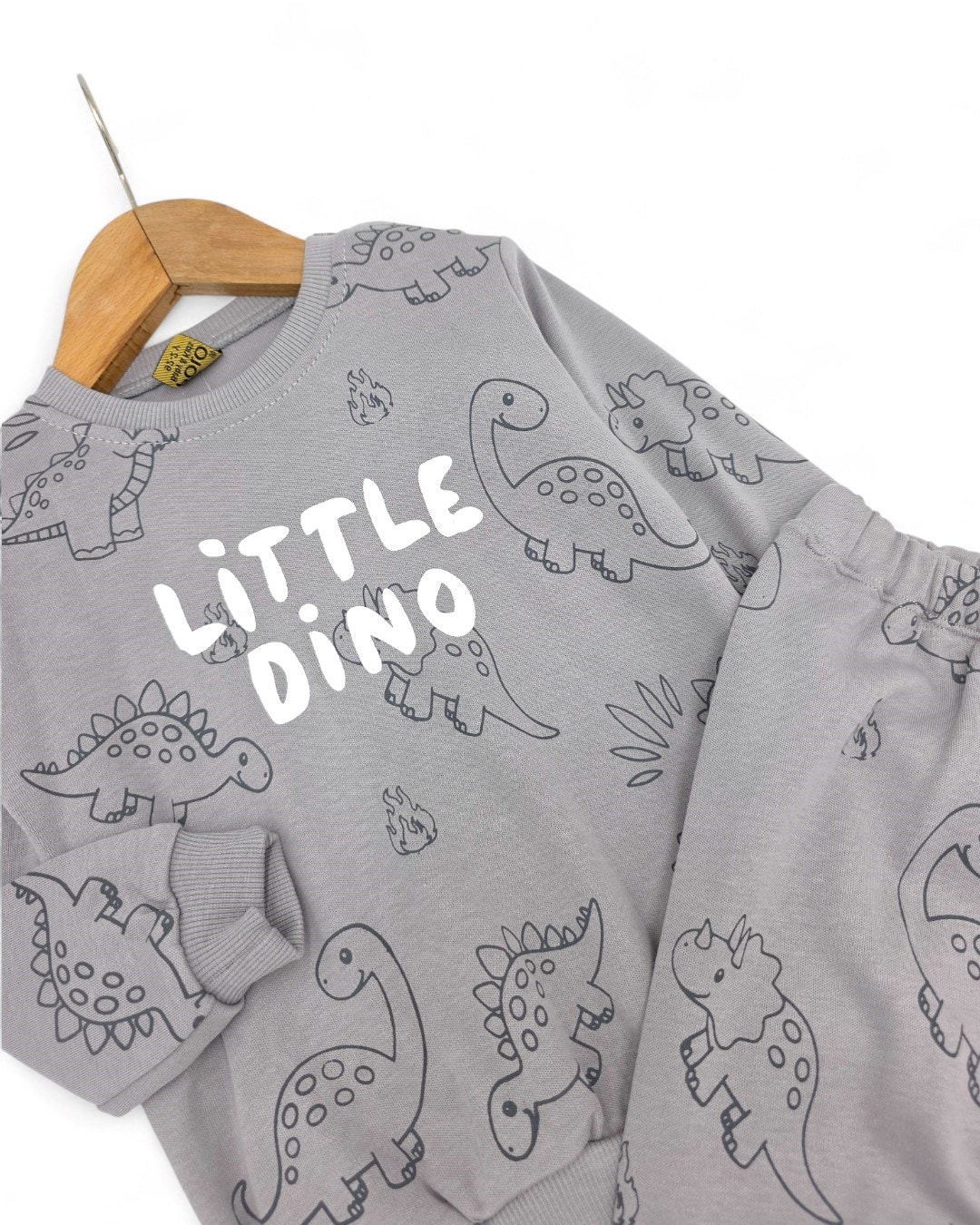 Erkek Bebek Little Dino Baskılı 6-9-12-18-24 Ay Mevsimlik, Uzun Kollu 2 İplik Bebek Takımı R2139