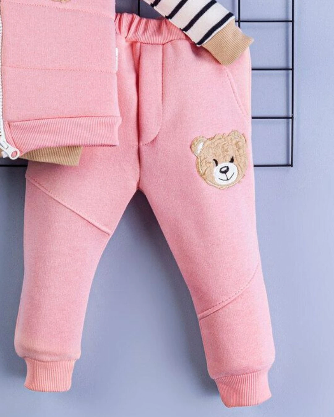 Kız Bebek 3 İp Şardonlu, Welsoft Kapüşonu Kulak Detaylı 6-9-12-18 Aylık, 2-3-4 Yaş 3 Parça Kışlık Takım R2240