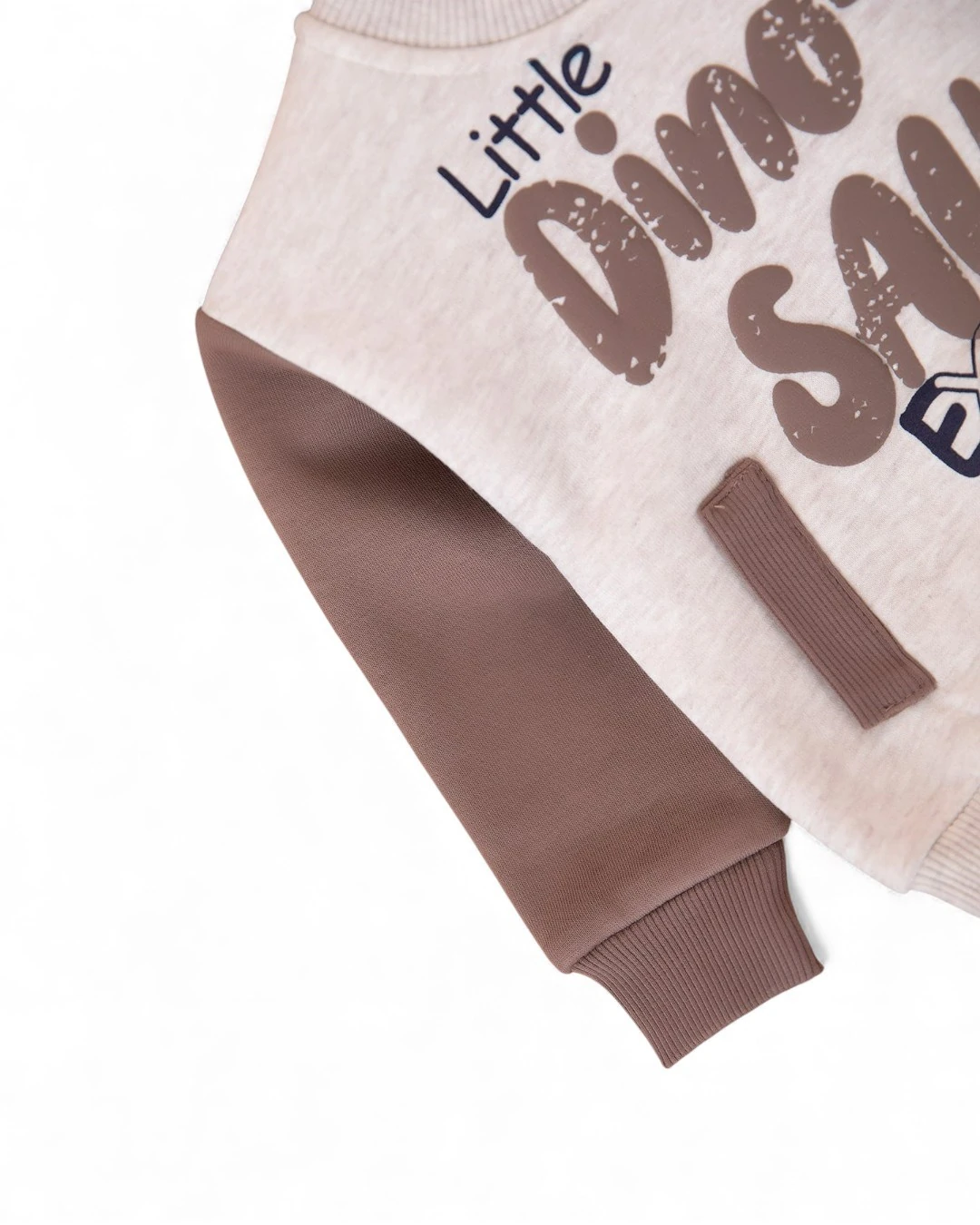 Erkek Bebek Dinozor Baskılı Kışlık 3 İp Şardonlu Alt Üst Eşofman Takımı, Kışlık Bebek Takımı R2390