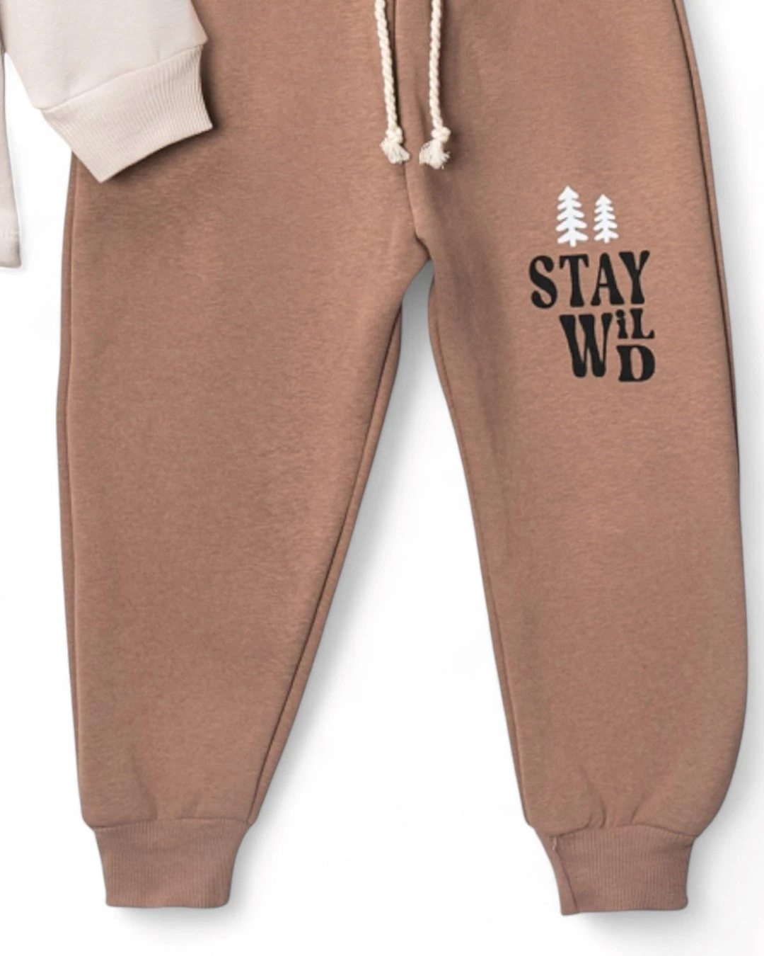 Erkek Çocuk Kışlık 3 İp Şardonlu, Ayıcık Nakışlı, 1-2-3-4 Yaş Alt Üst Bebek Eşofman Takımı R2342