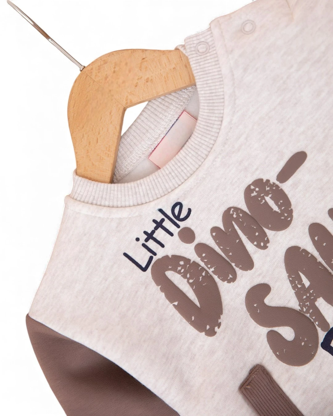 Erkek Bebek Dinozor Baskılı Kışlık 3 İp Şardonlu Alt Üst Eşofman Takımı, Kışlık Bebek Takımı R2390