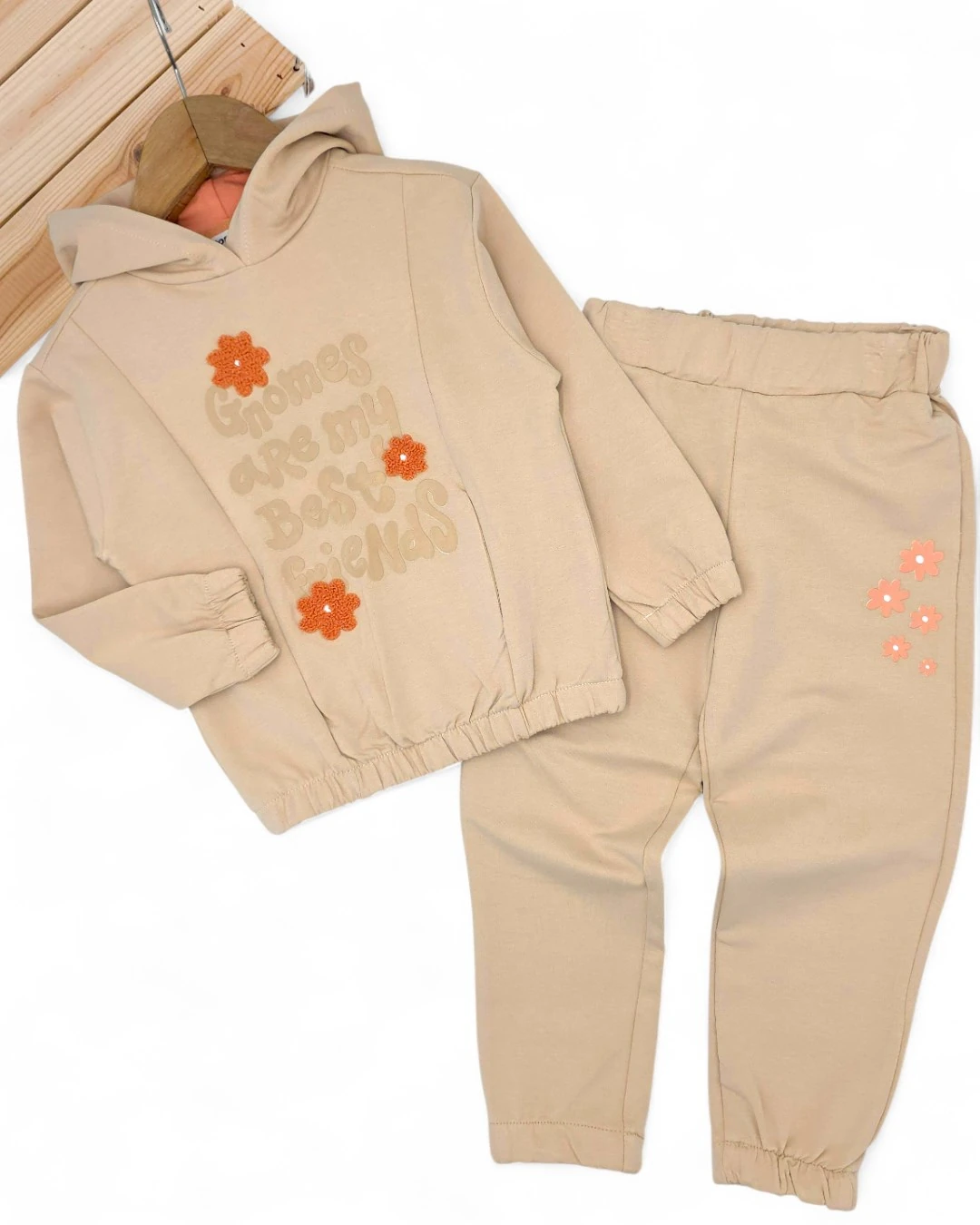 Kız Çocuk 2-3-4-5-6 Yaş, Mevsimlik Kapüşonlu , Çiçek Nakışlı Compact Eşofman Takımı R2317